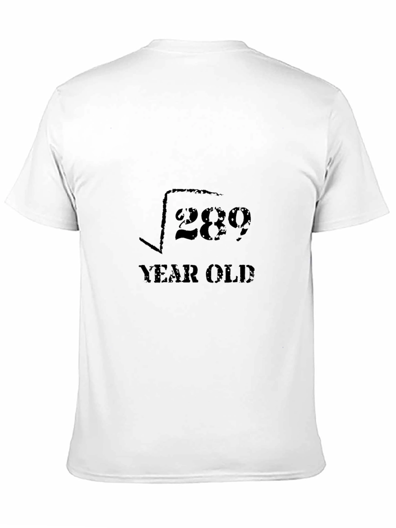 Funny Math 17 Year Old Birthday T-Shirt