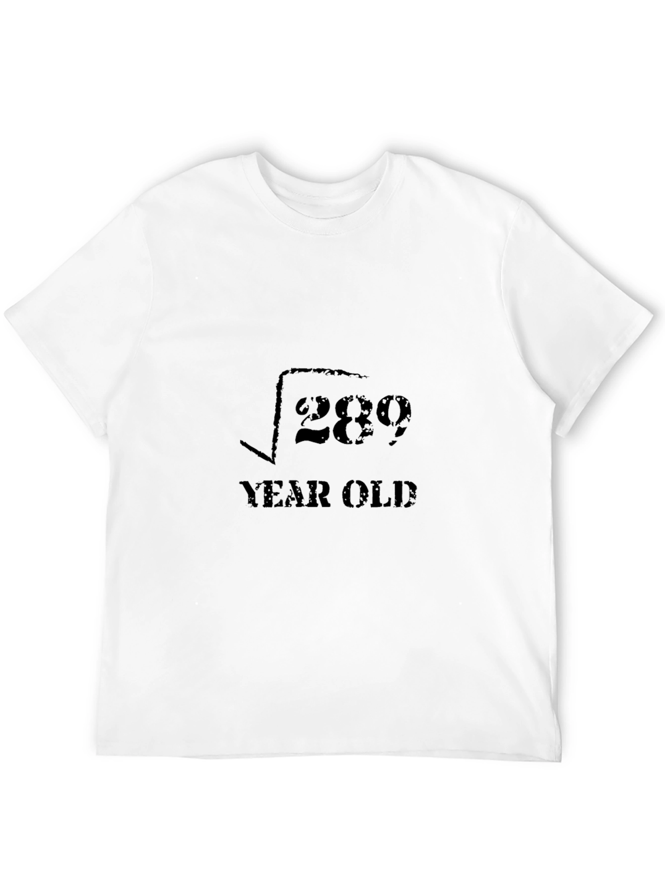 Funny Math 17 Year Old Birthday T-Shirt