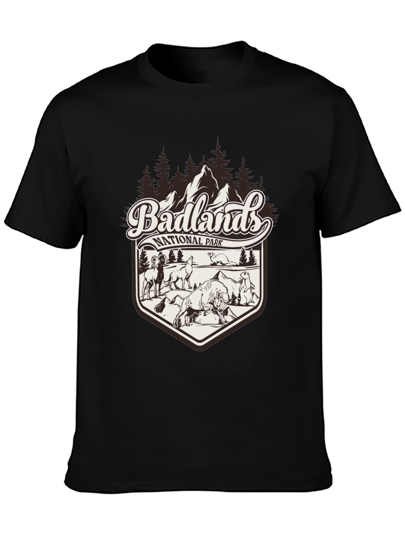 Badlands National Park Graphic Tee - Black