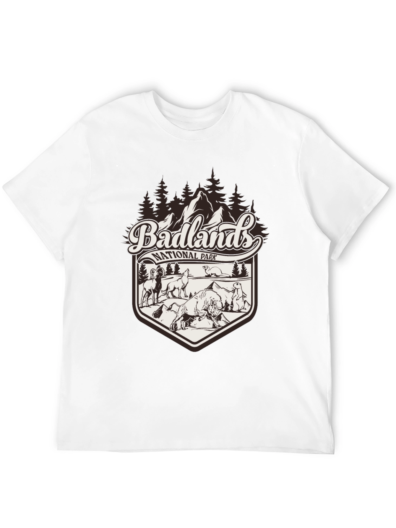 Badlands National Park Graphic Tee - Black