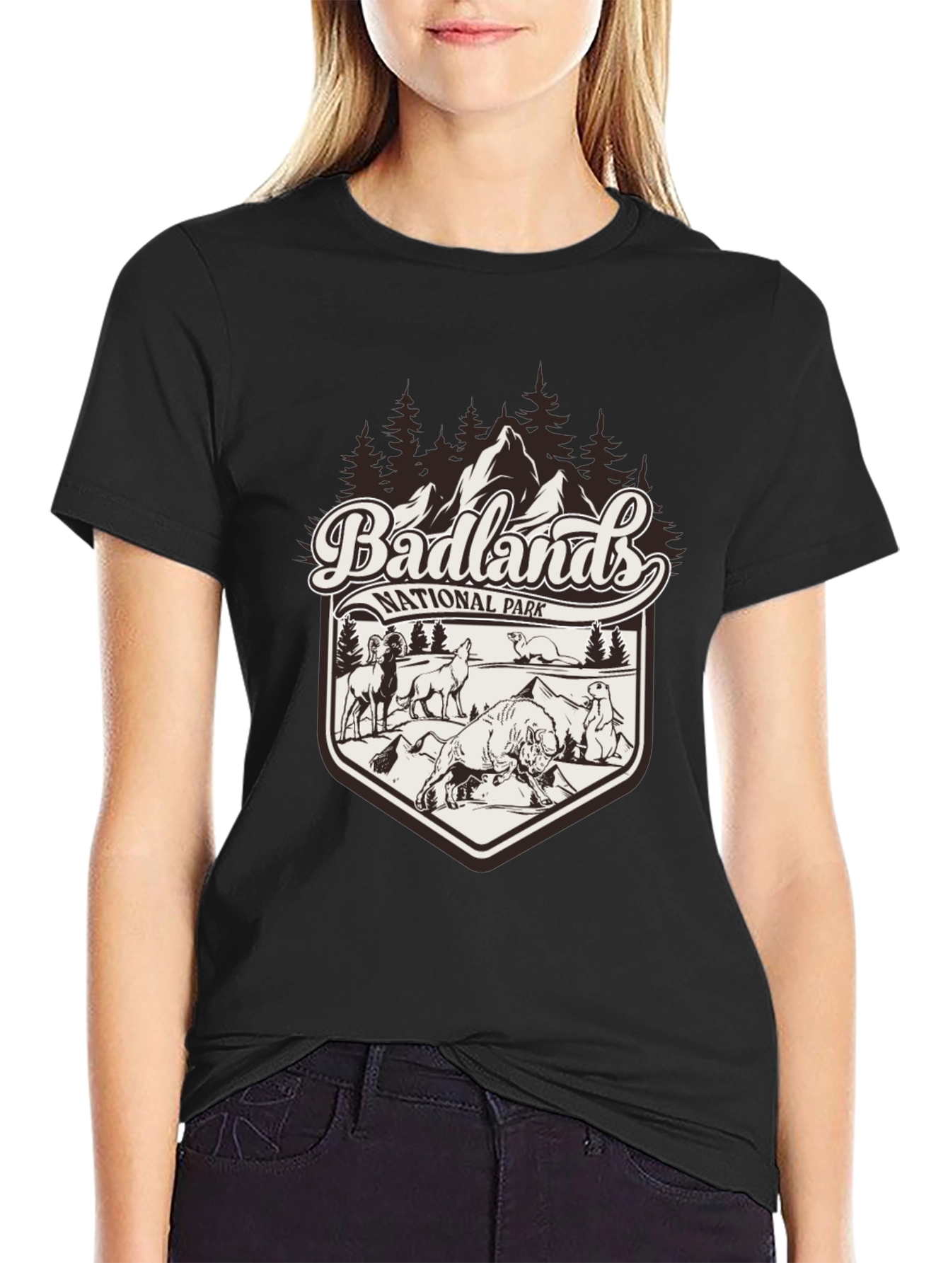 Badlands National Park Graphic Tee - Black