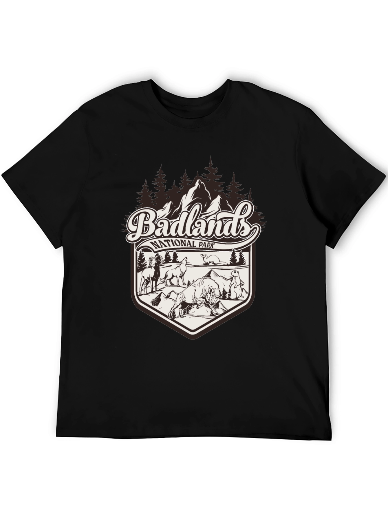 Badlands National Park Graphic Tee - Black