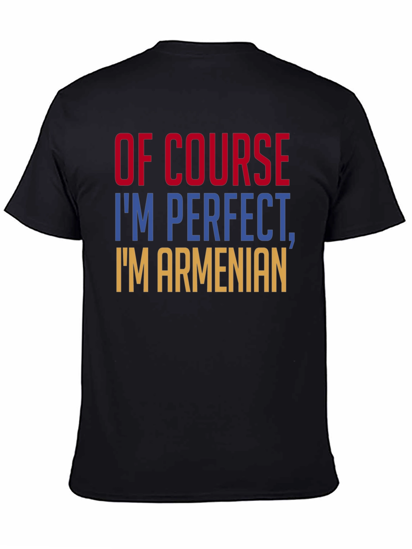 Of Course Im Perfect Im Armenian T-Shirt