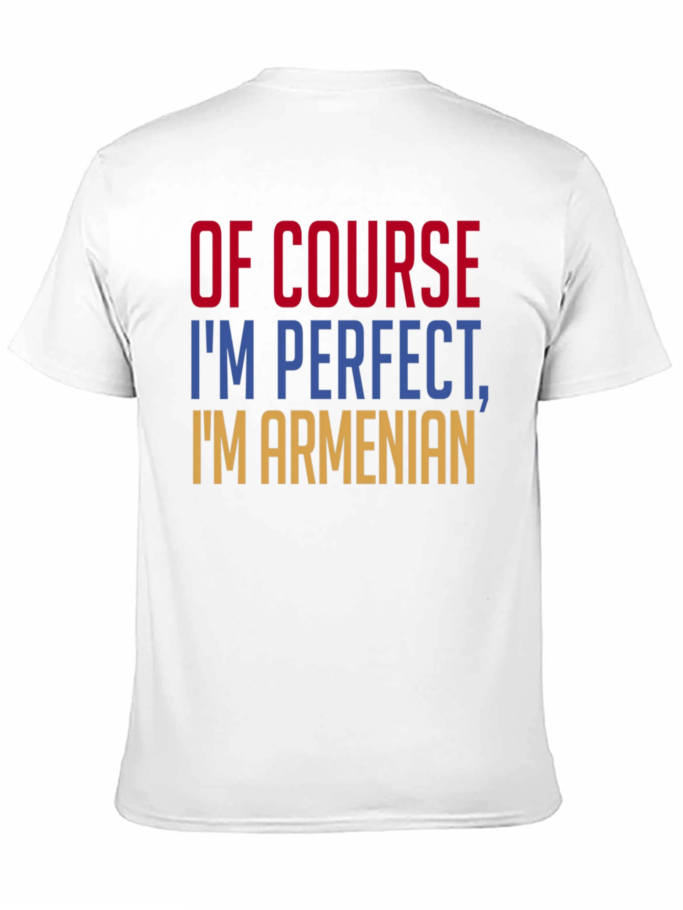 Of Course Im Perfect Im Armenian T-Shirt