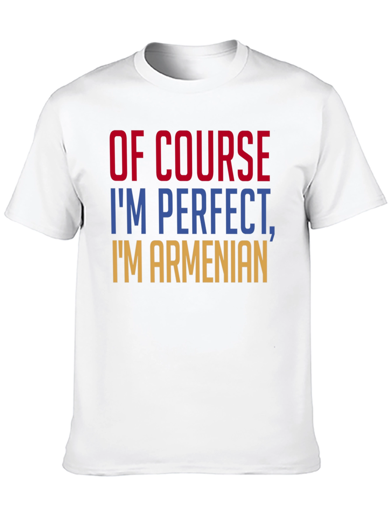 Of Course Im Perfect Im Armenian T-Shirt