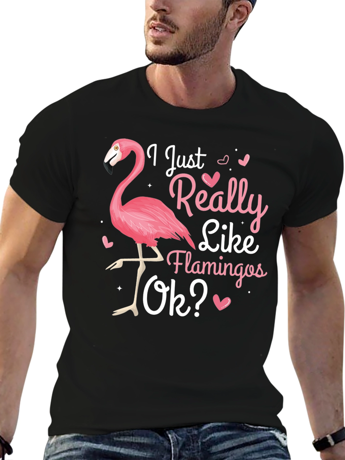 I Just Really Like Flamingos Ok? T-Shirt