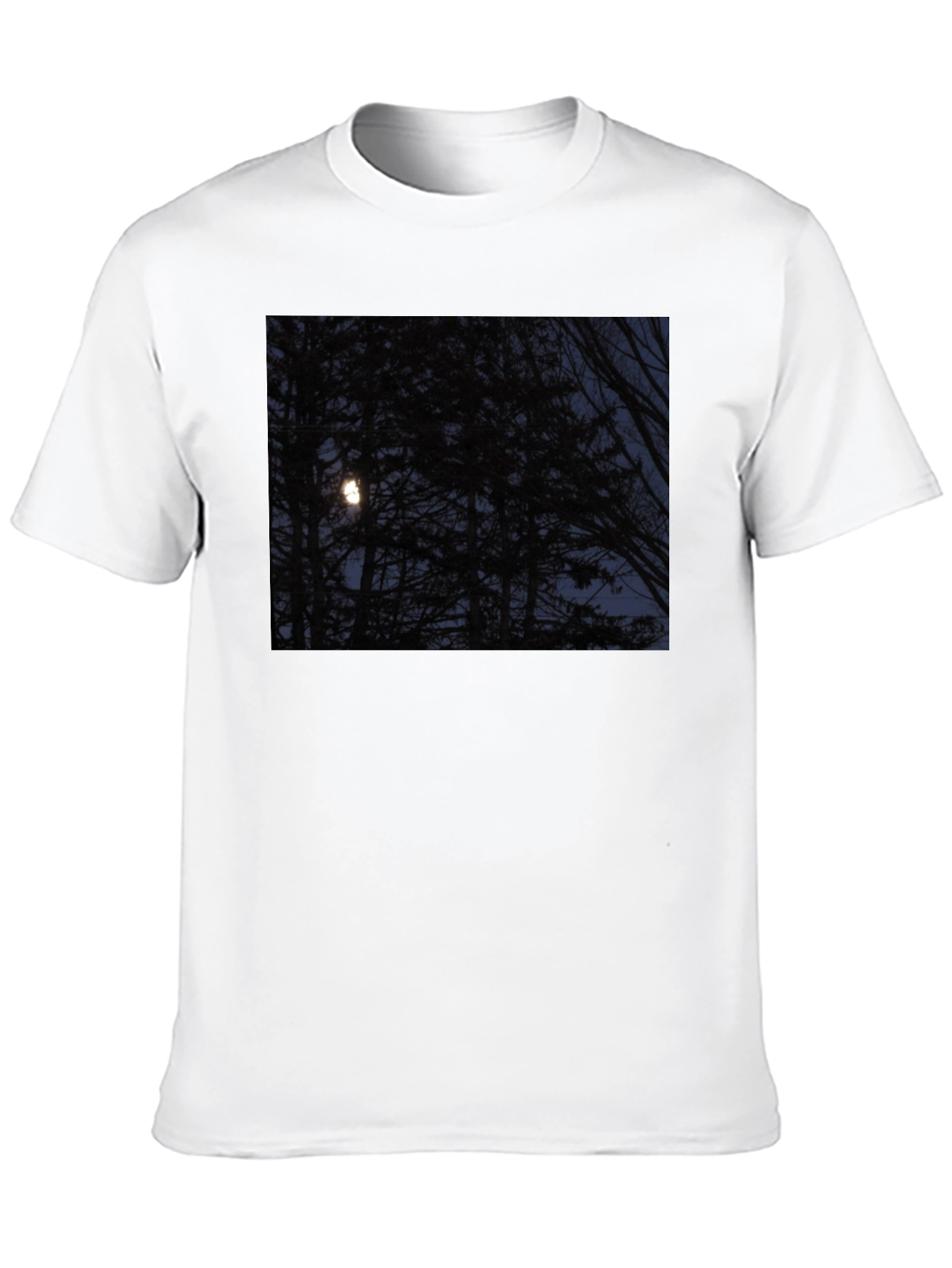 Moonlit Forest Graphic Tee - Dark & Stylish