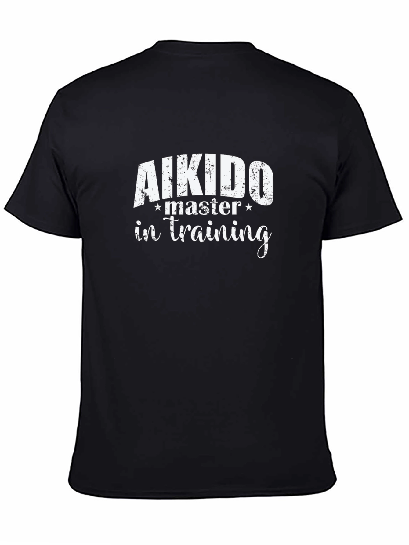 Aikido Master in Training Black T-Shirt
