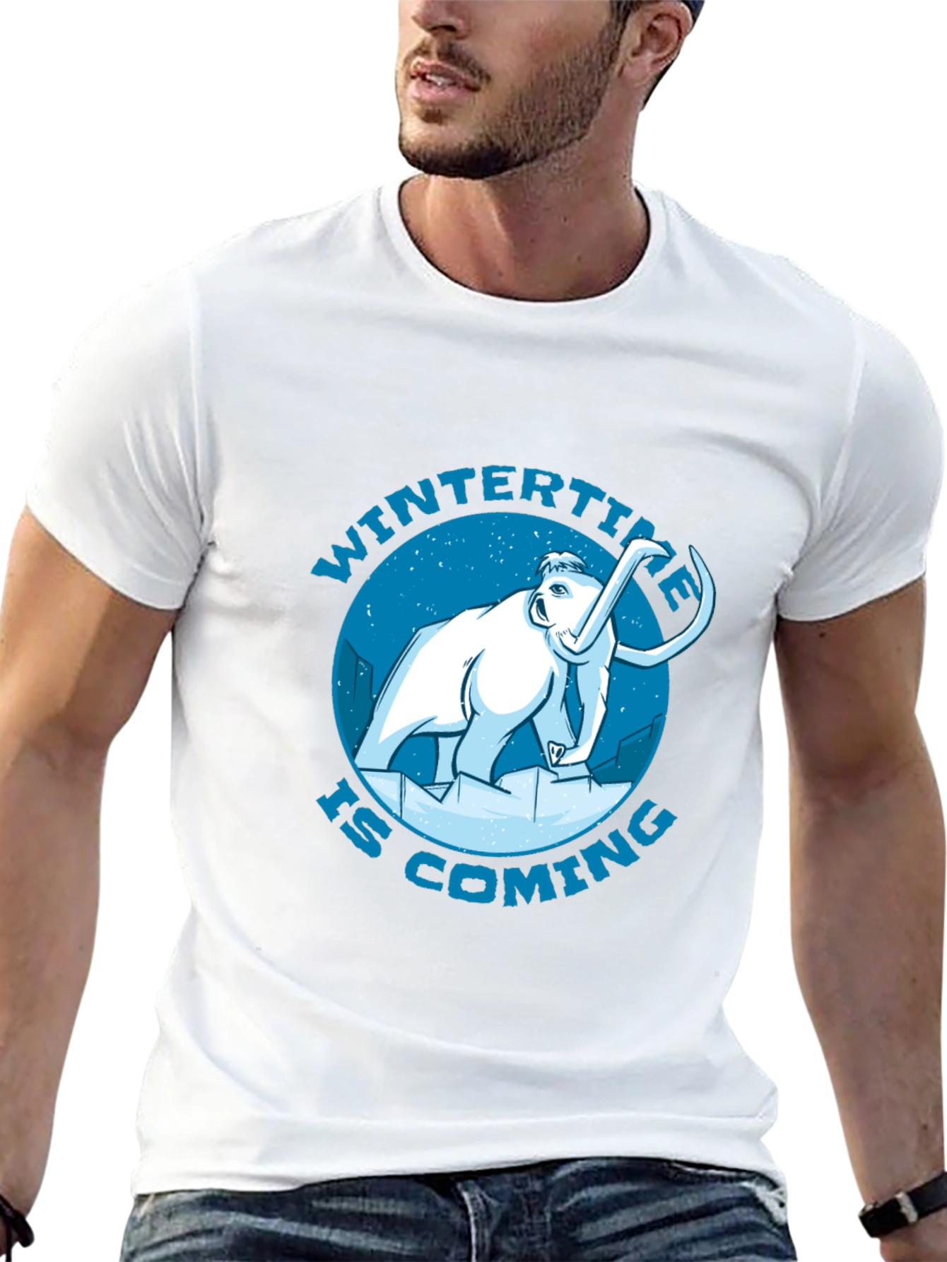 Wintertime is Coming Graphic Tee