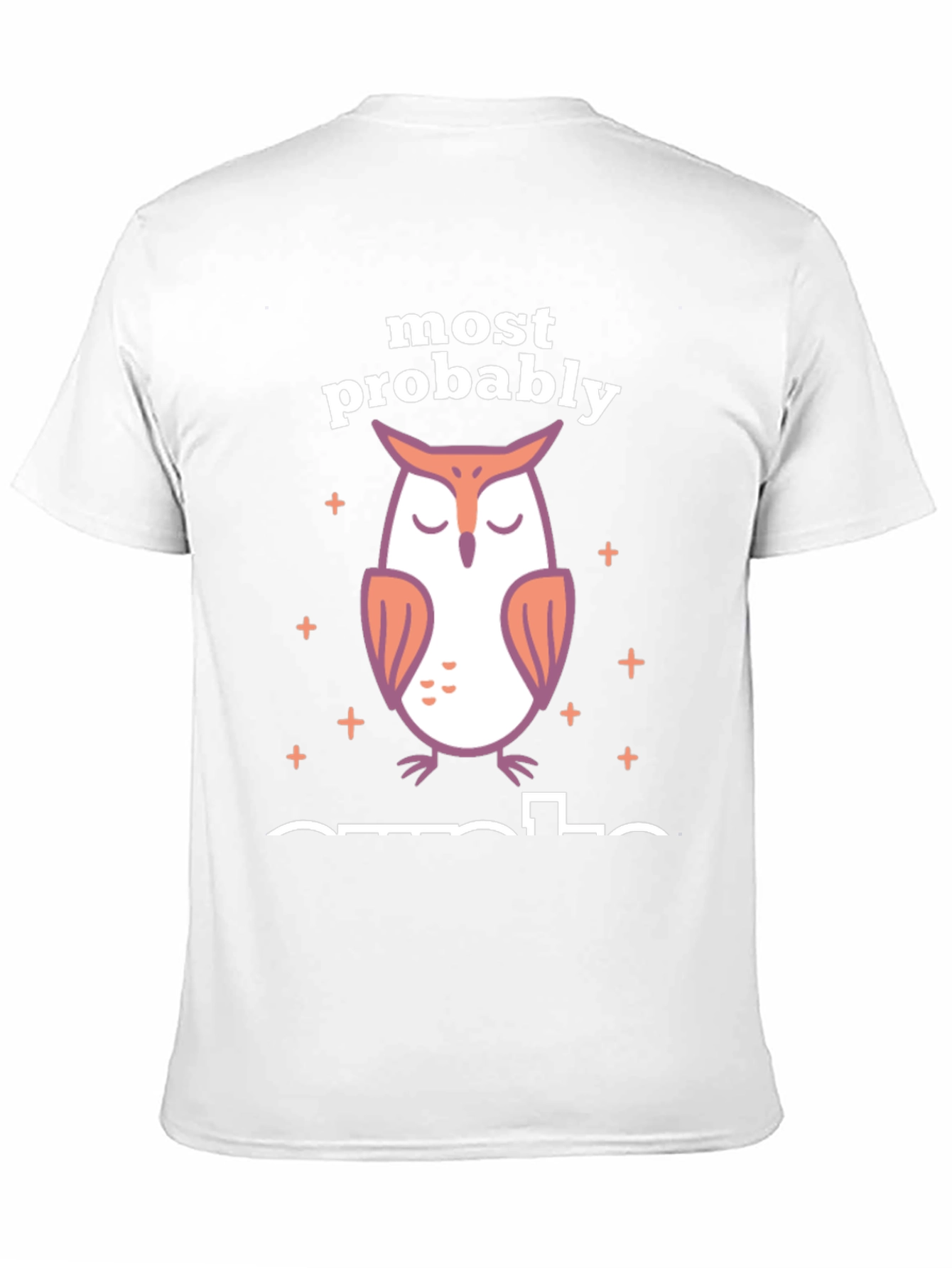 Most Probably Asleep Owl Graphic T-Shirt