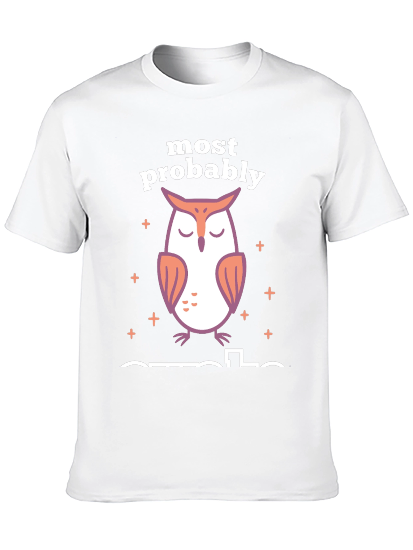 Most Probably Asleep Owl Graphic T-Shirt