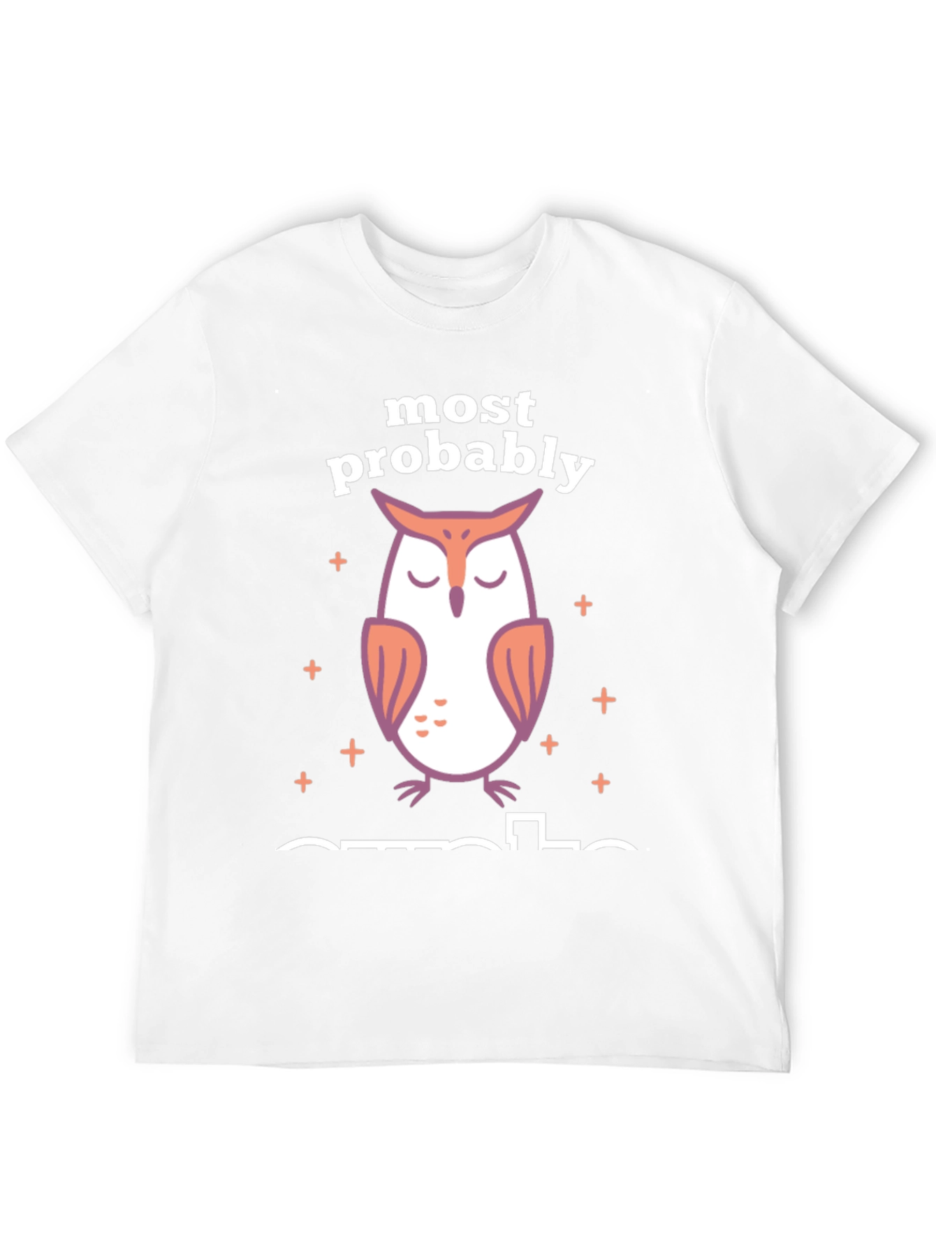 Most Probably Asleep Owl Graphic T-Shirt