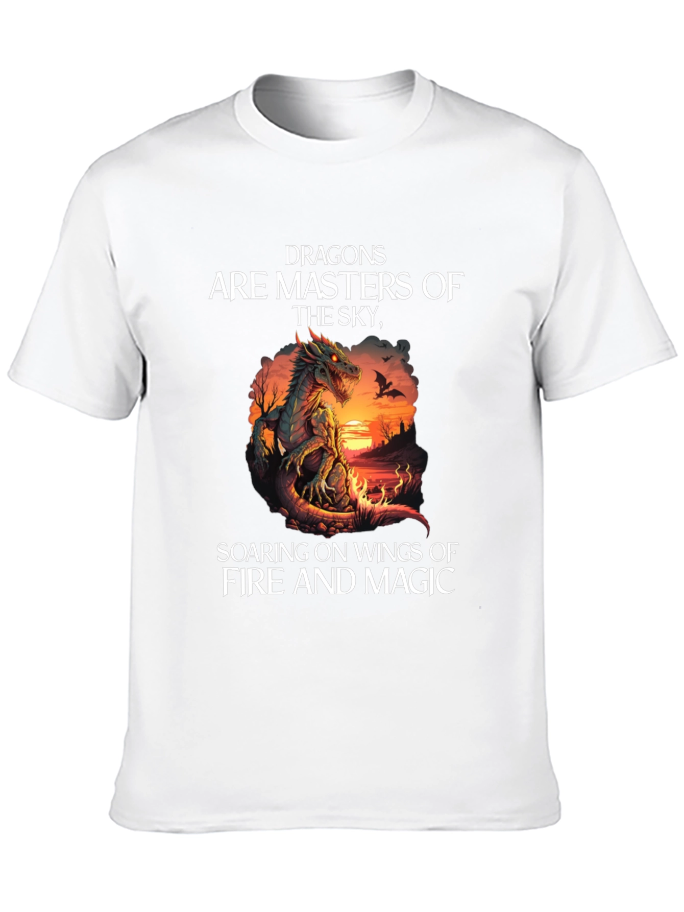 Dragon Masters of the Sky Graphic Tee