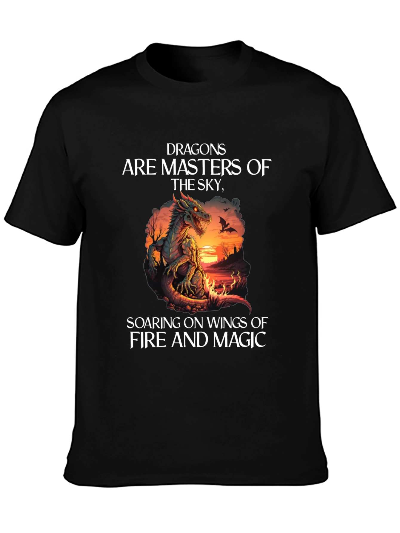 Dragon Masters of the Sky Graphic Tee