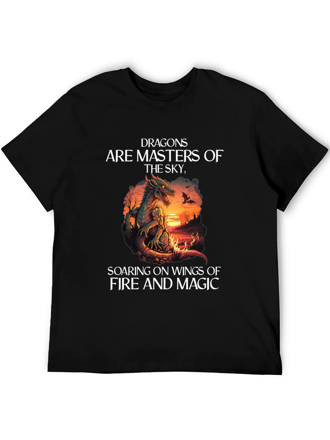 Dragon Masters of the Sky Graphic Tee
