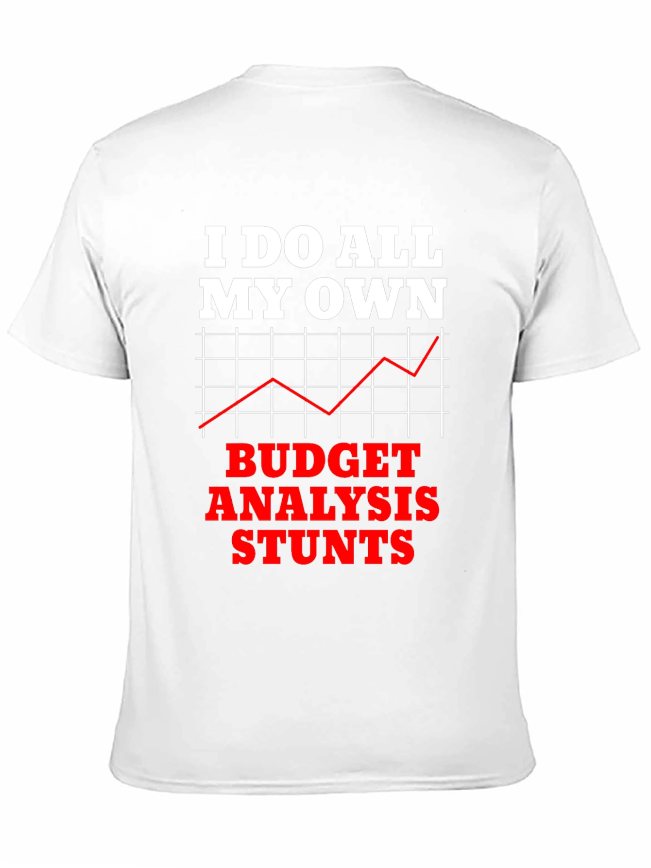 Budget Analysis Stunts Graphic Tee