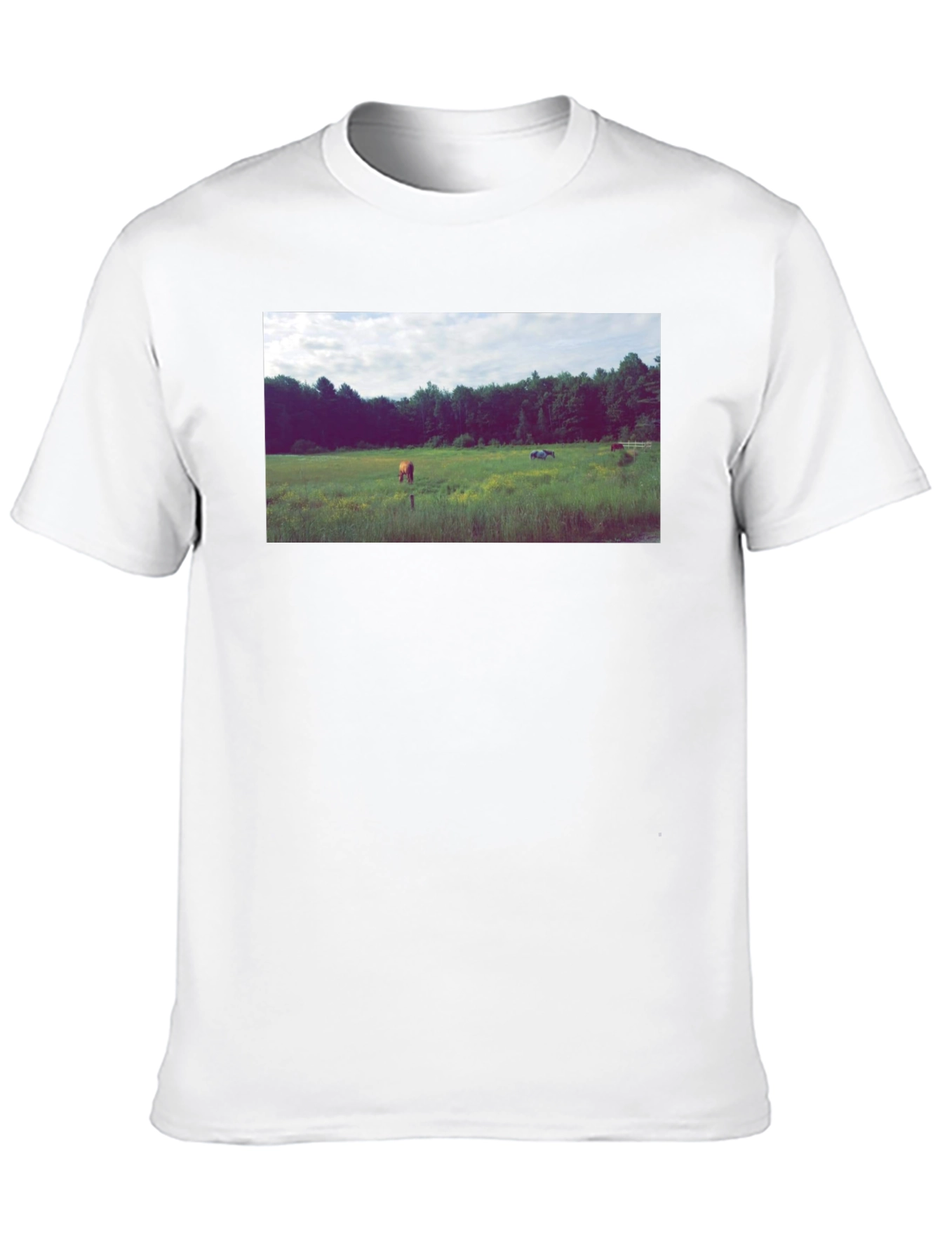 Black Tee with Scenic Meadow Graphic