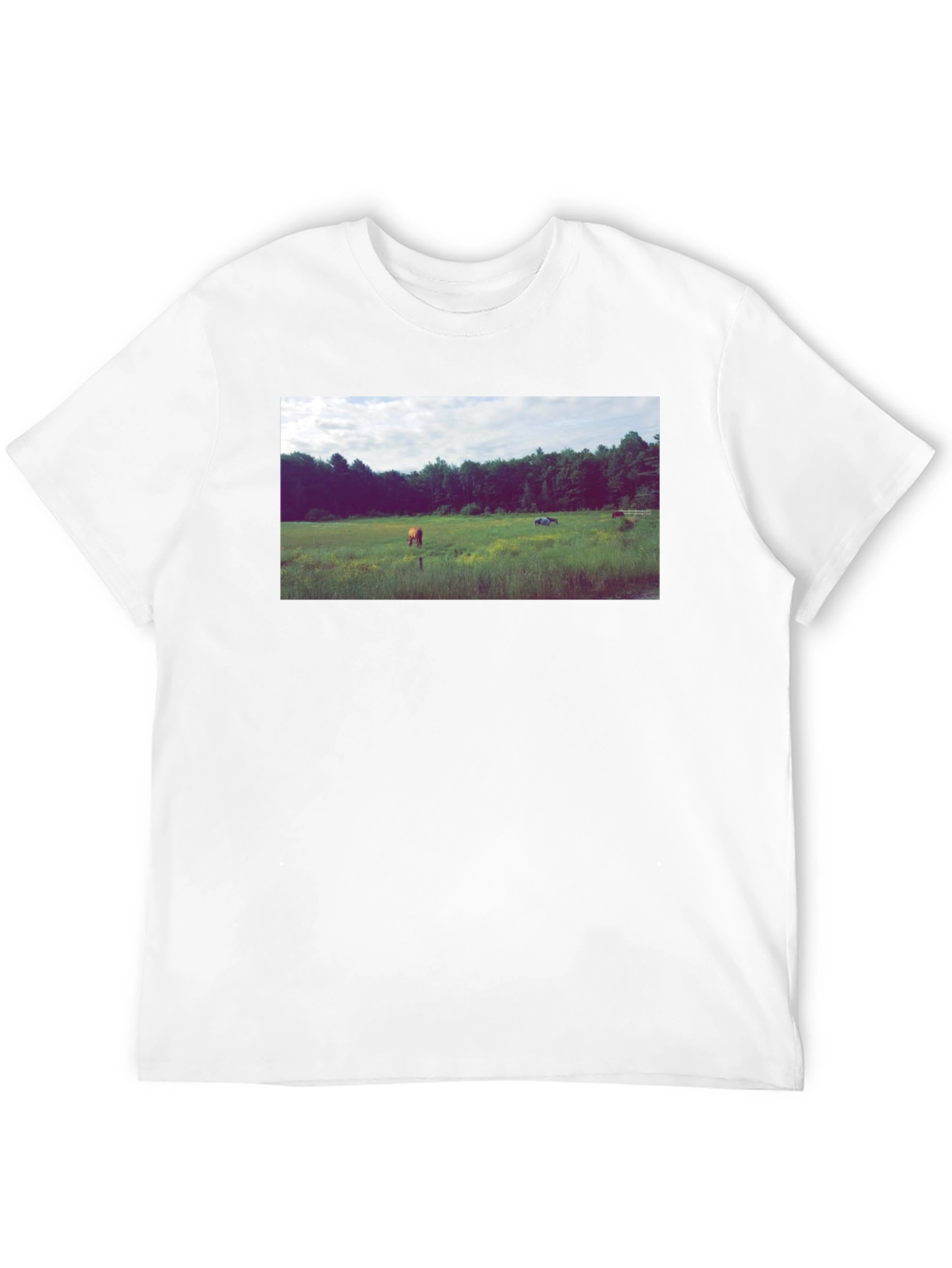Black Tee with Scenic Meadow Graphic