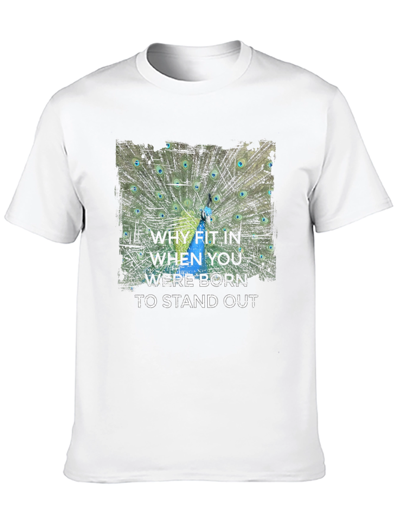 Stand Out Peacock Graphic Tee - Black Cotton T-Shirt