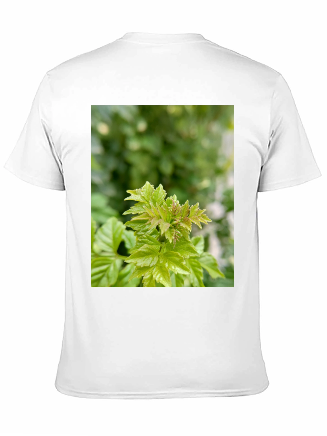 Leaf Print Black T-Shirt