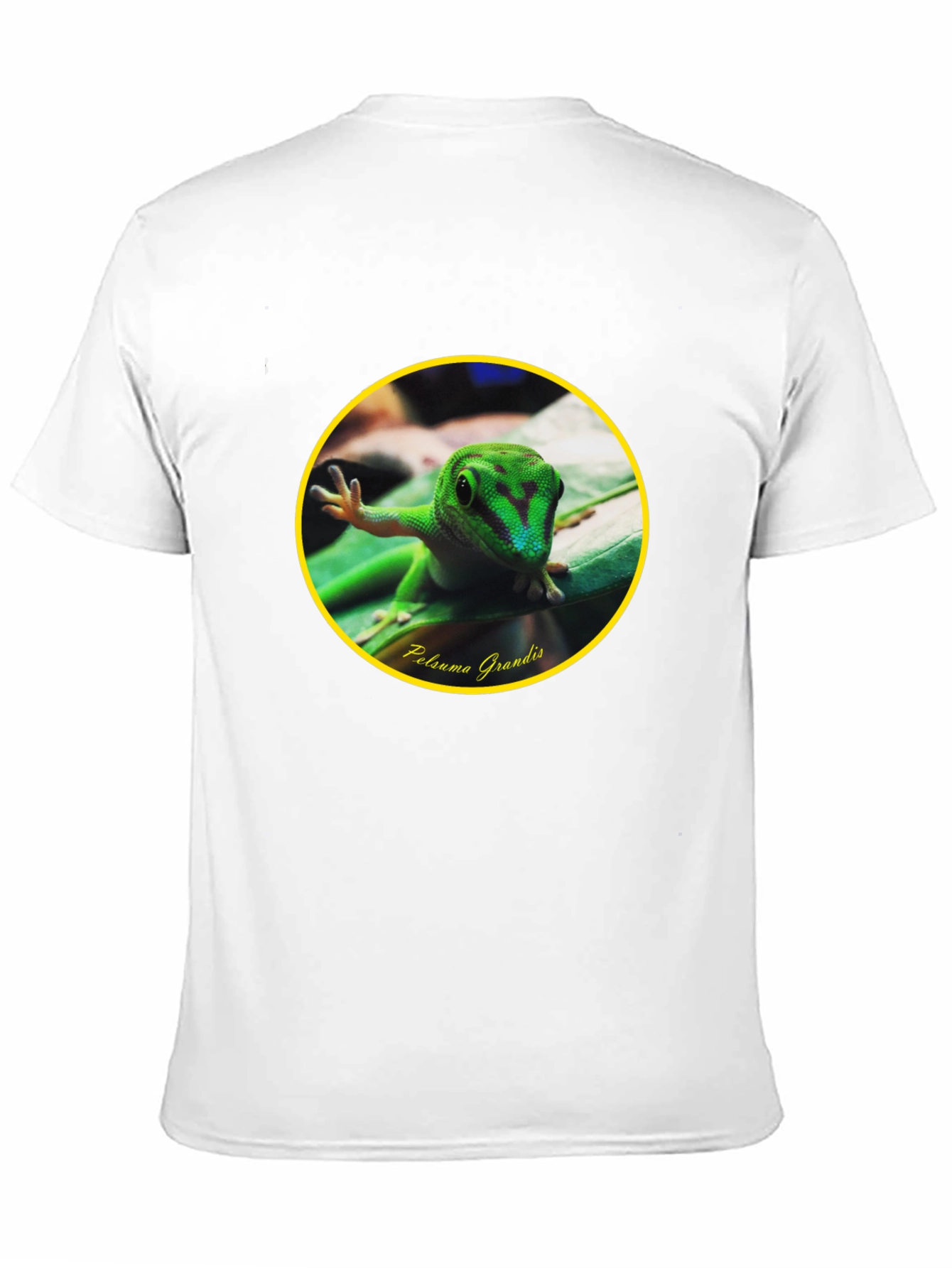 Gecko Phelsuma Grandis Graphic Tee