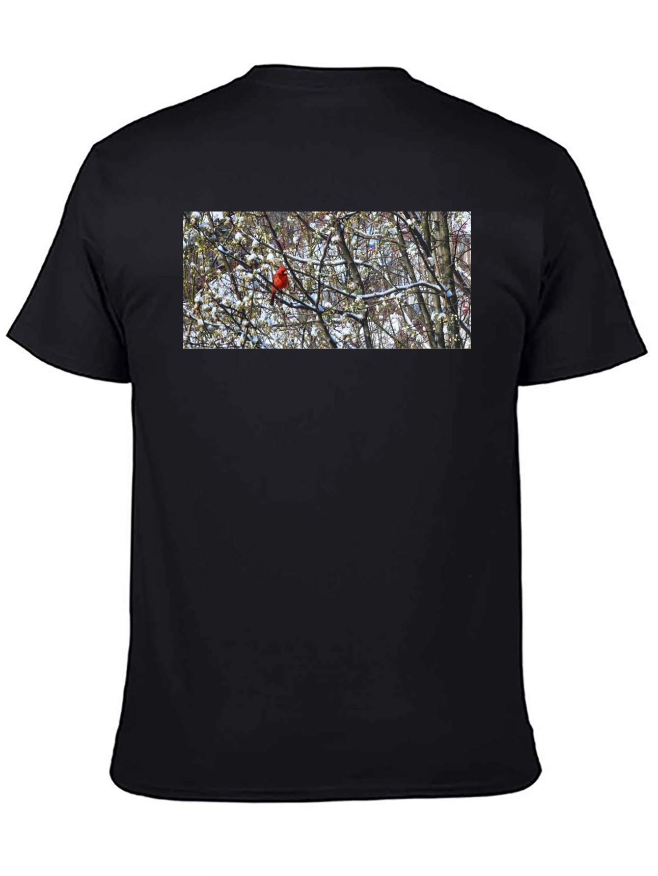 Cardinal Bird in Winter T-Shirt