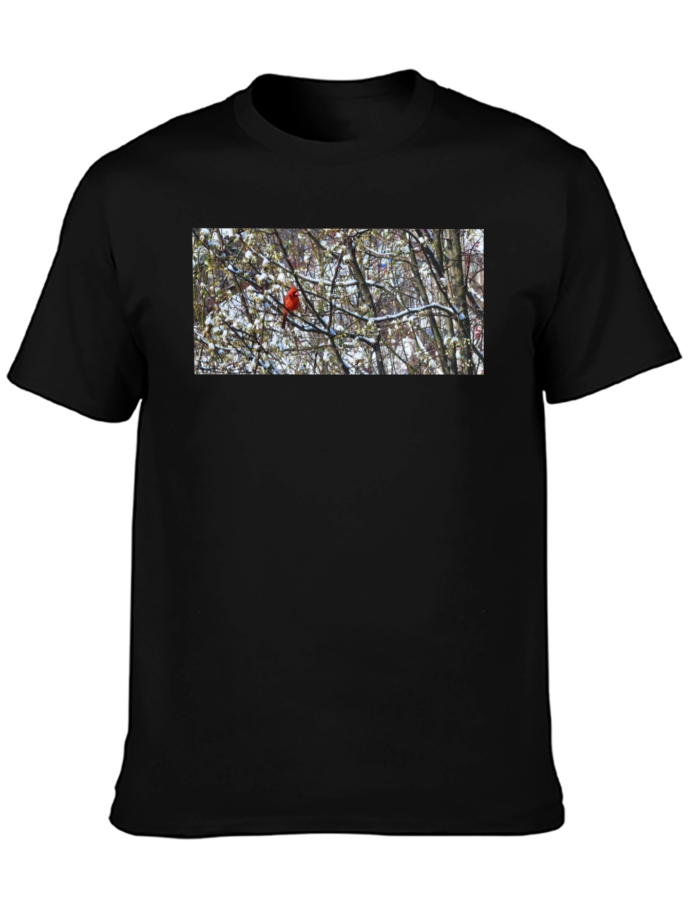 Cardinal Bird in Winter T-Shirt