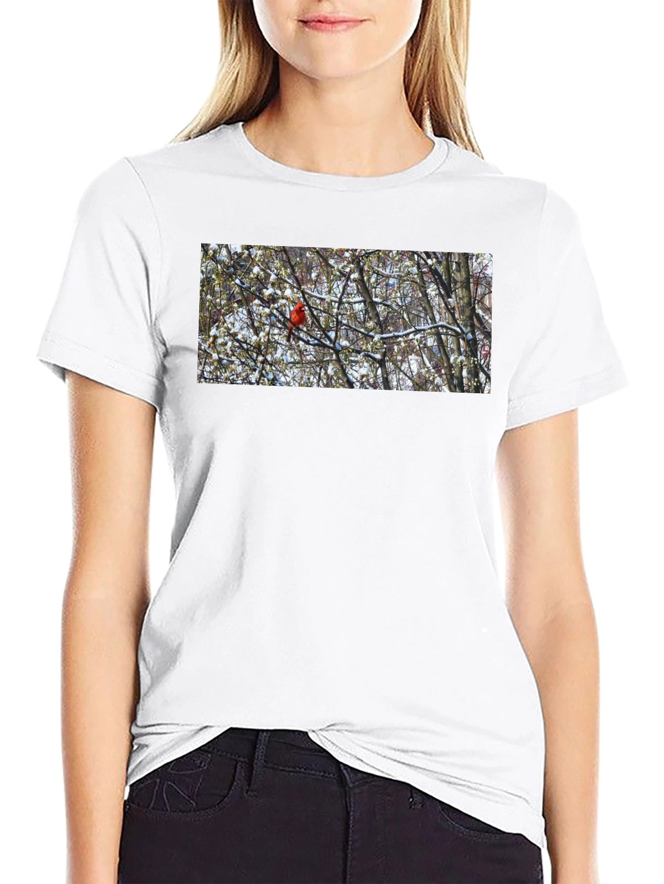 Cardinal Bird in Winter T-Shirt