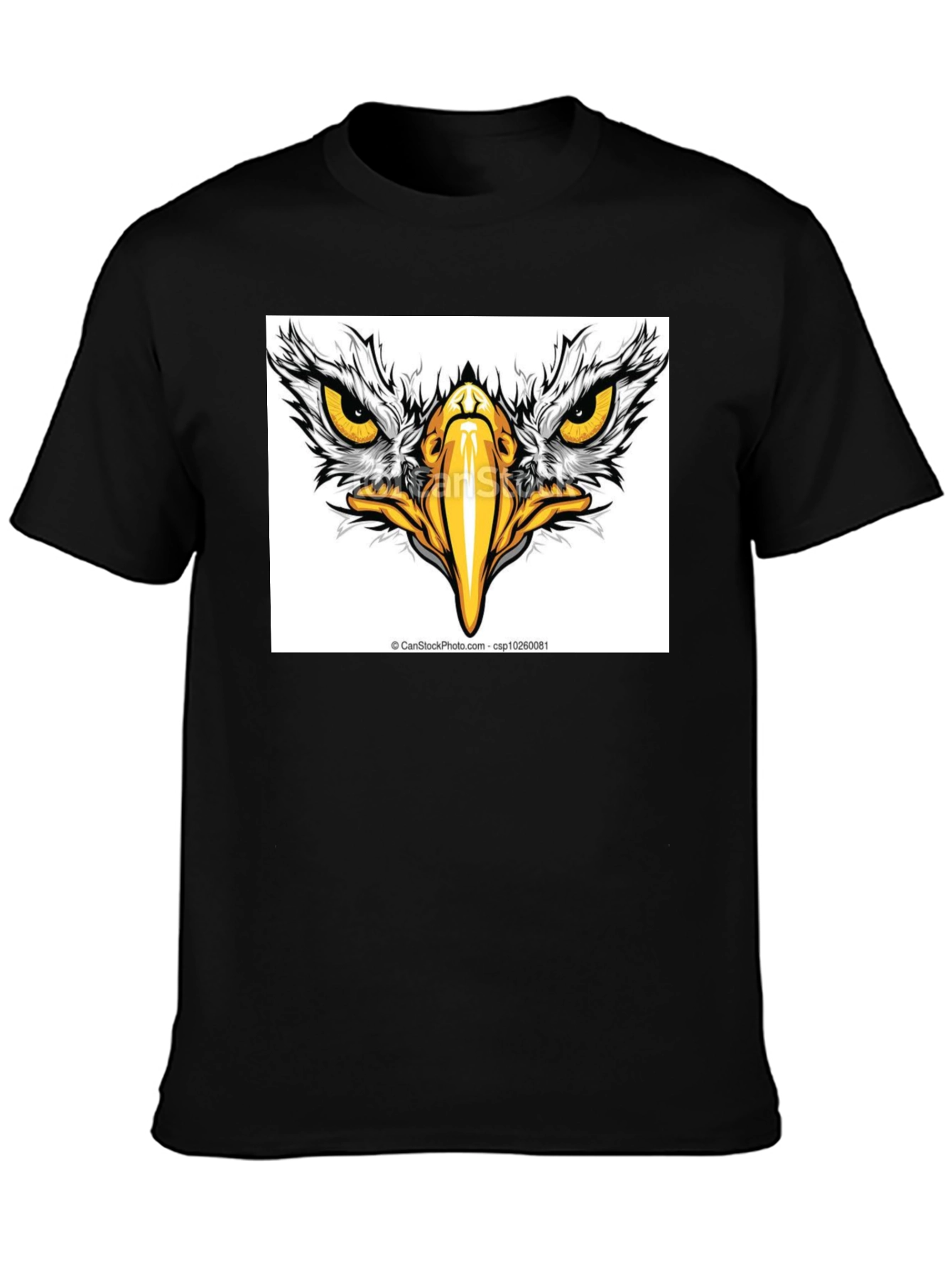Eagle Eye Graphic Black T-Shirt