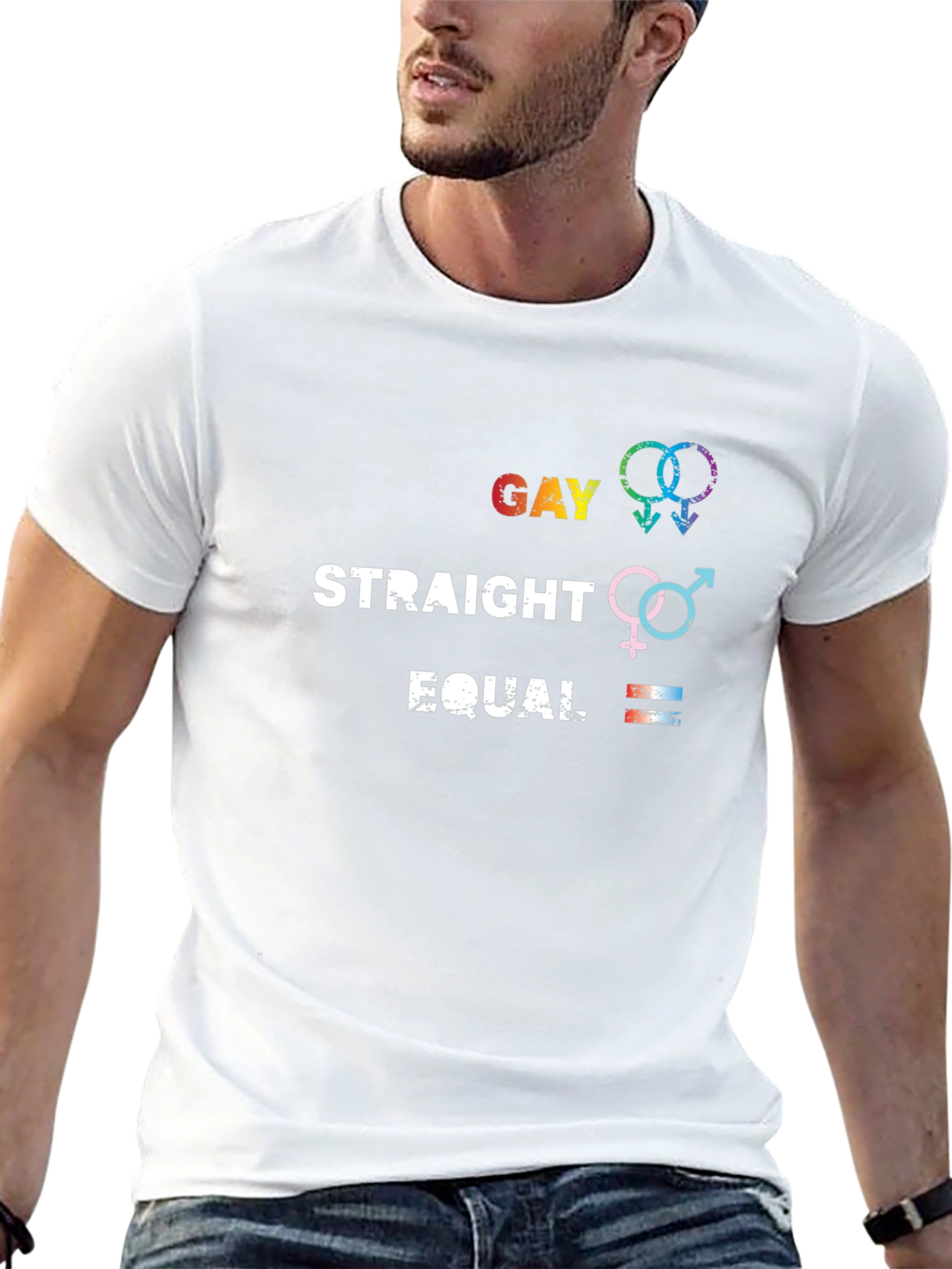 Gay Straight Equal Graphic Tee - Pride Equality T-Shirt