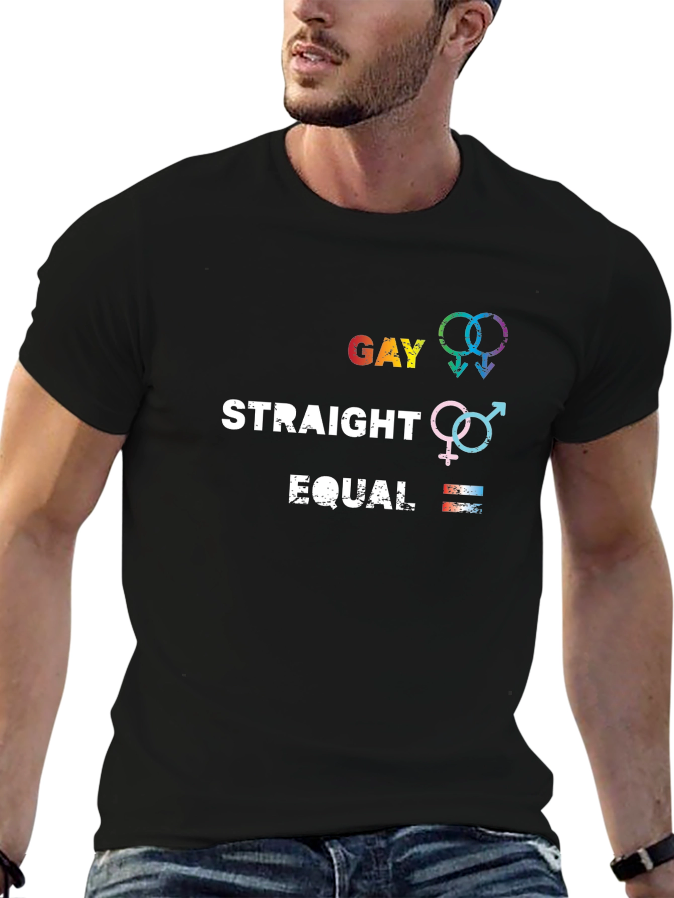 Gay Straight Equal Graphic Tee - Pride Equality T-Shirt