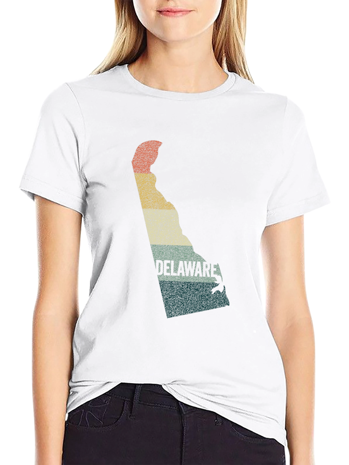 Delaware State Retro Graphic T-Shirt