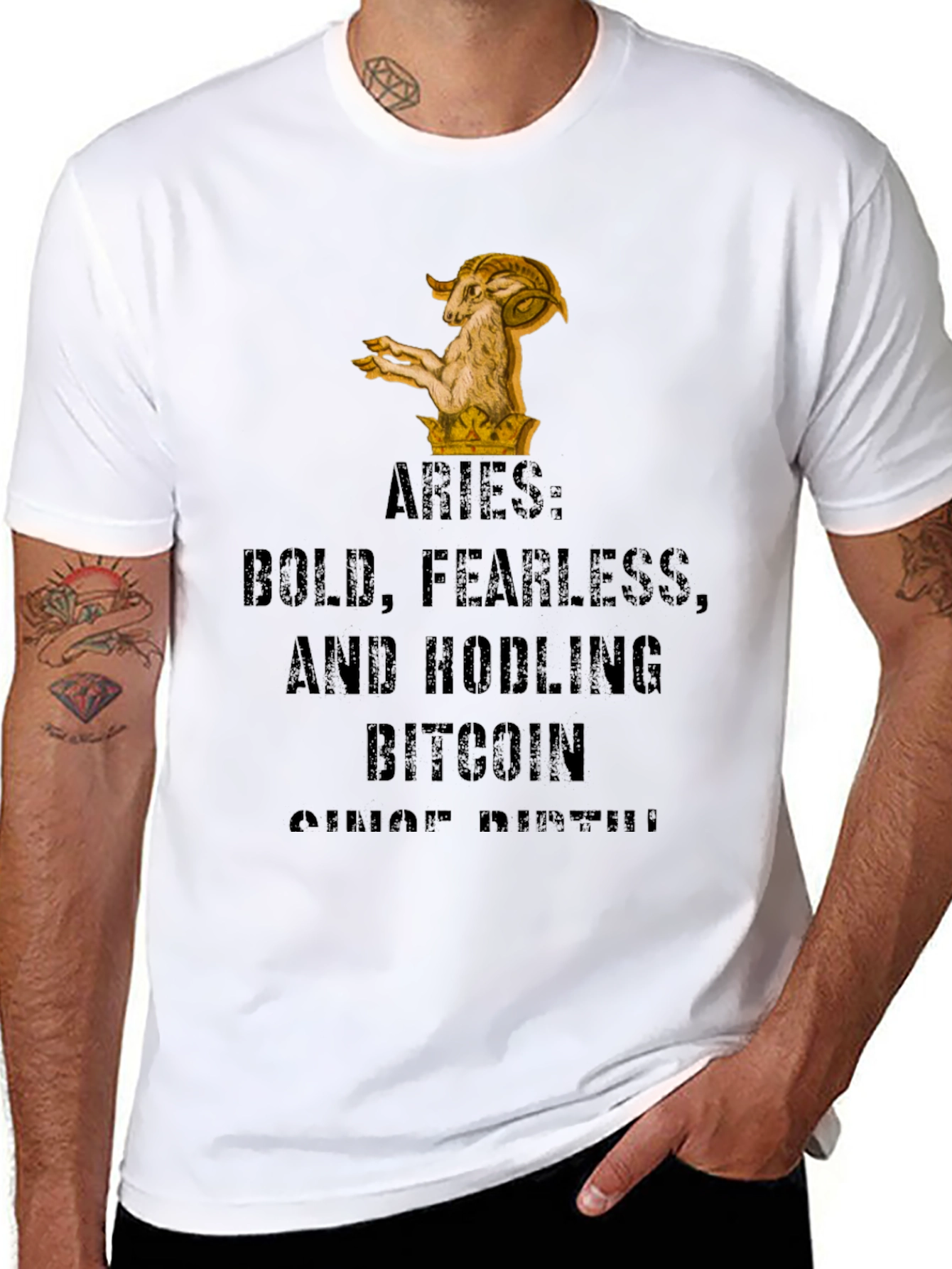 Aries Bitcoin Hodler T-Shirt
