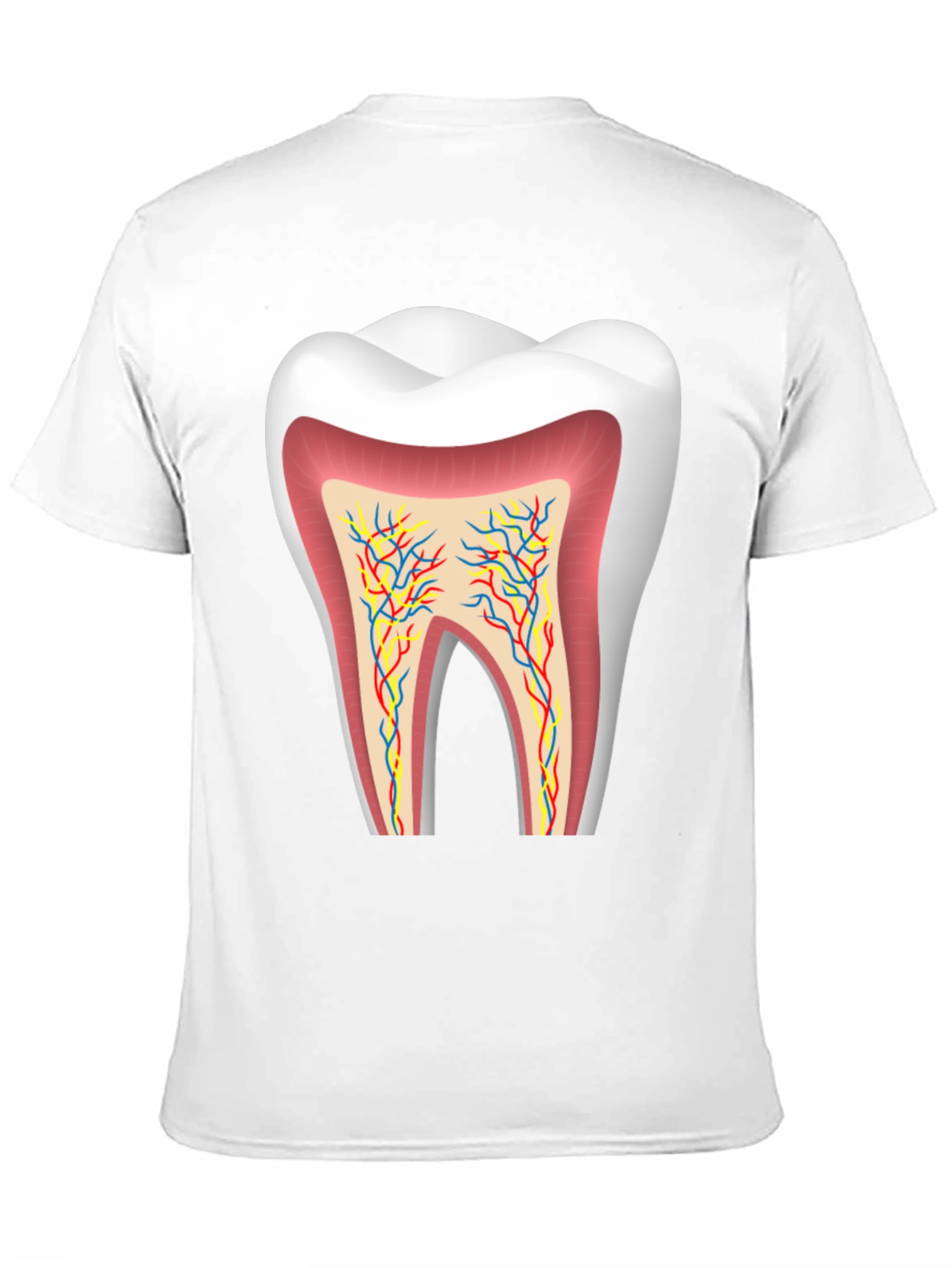 Anatomical Tooth Graphic Tee - Dentist Apparel