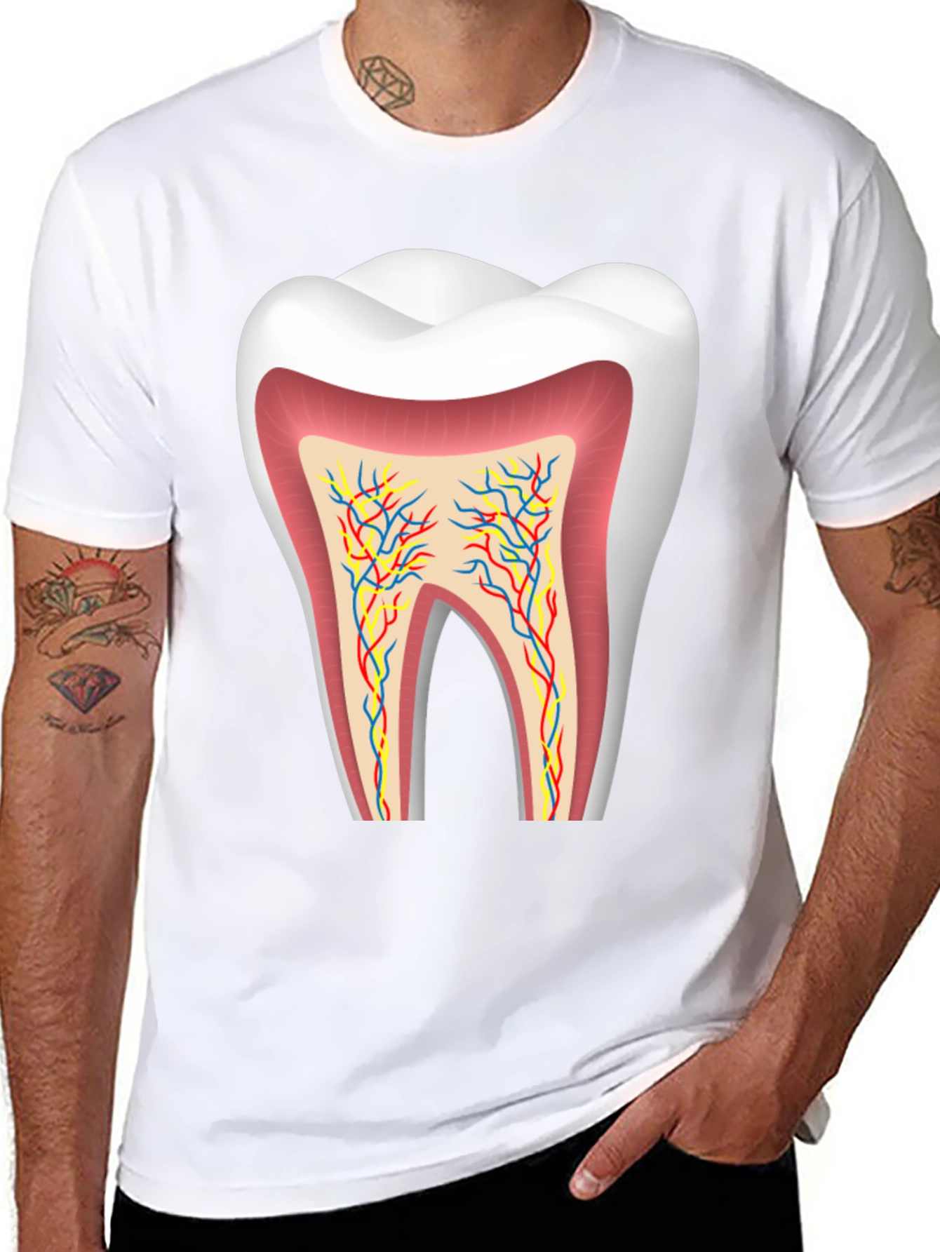 Anatomical Tooth Graphic Tee - Dentist Apparel