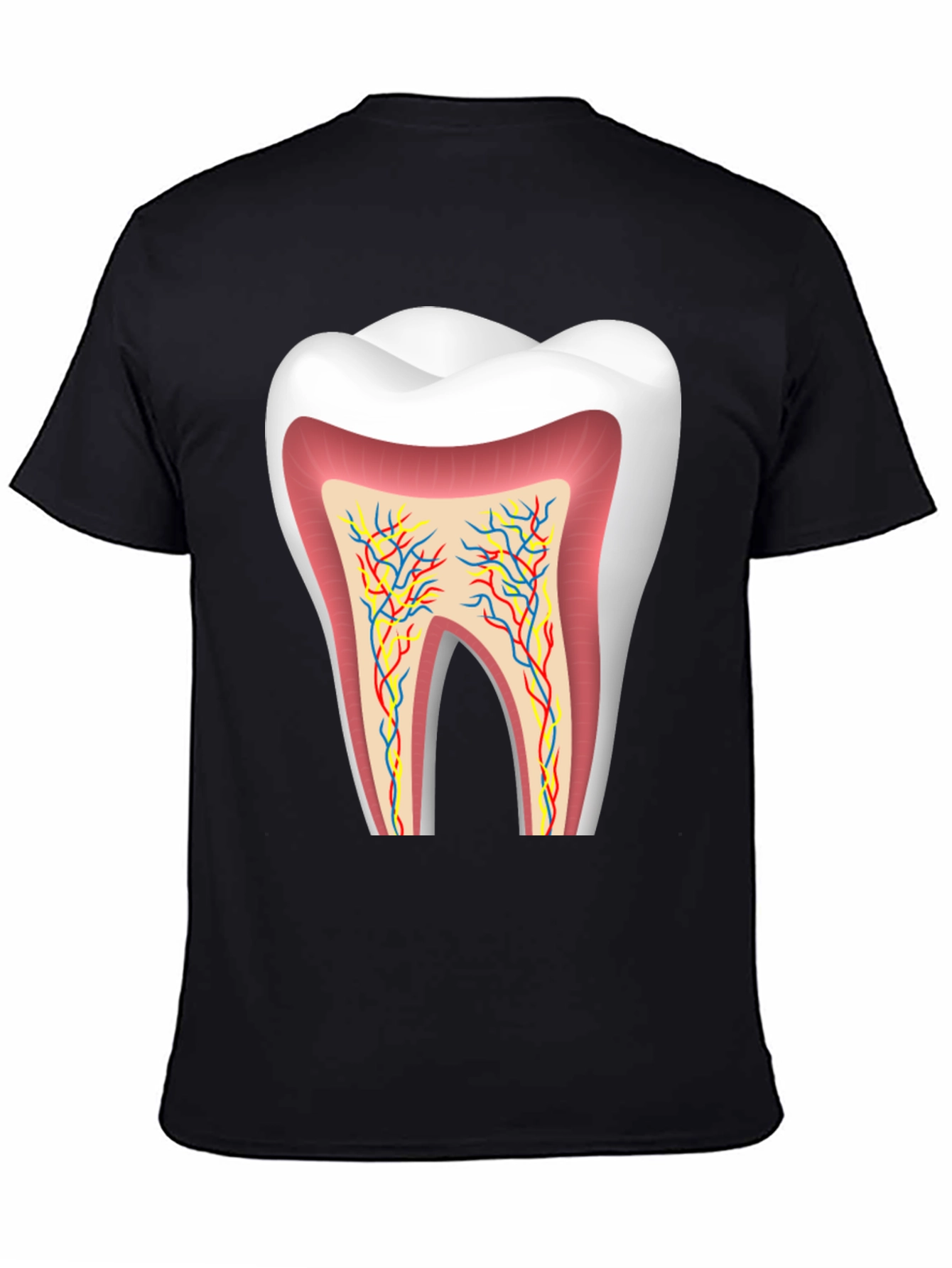 Anatomical Tooth Graphic Tee - Dentist Apparel