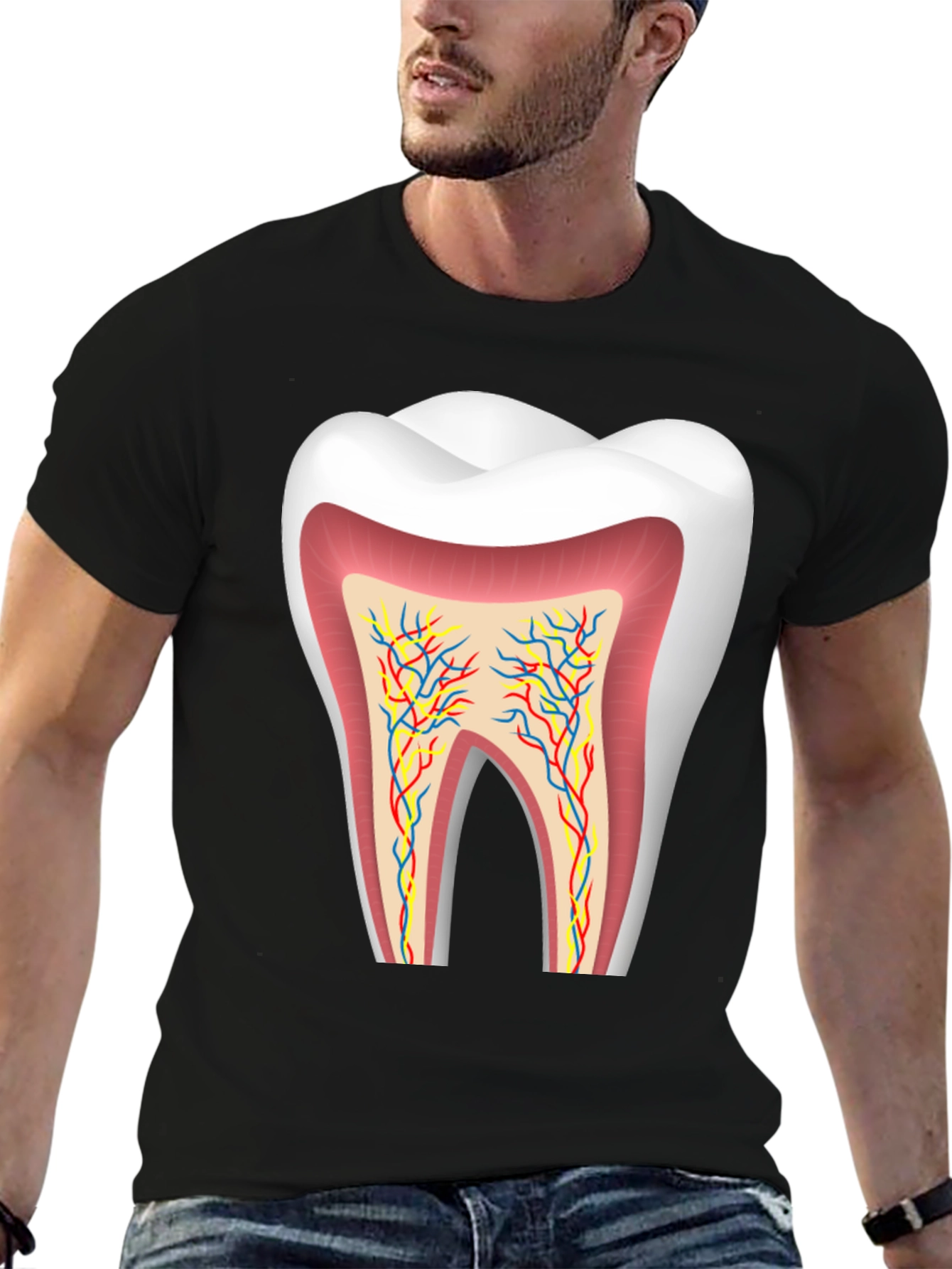 Anatomical Tooth Graphic Tee - Dentist Apparel