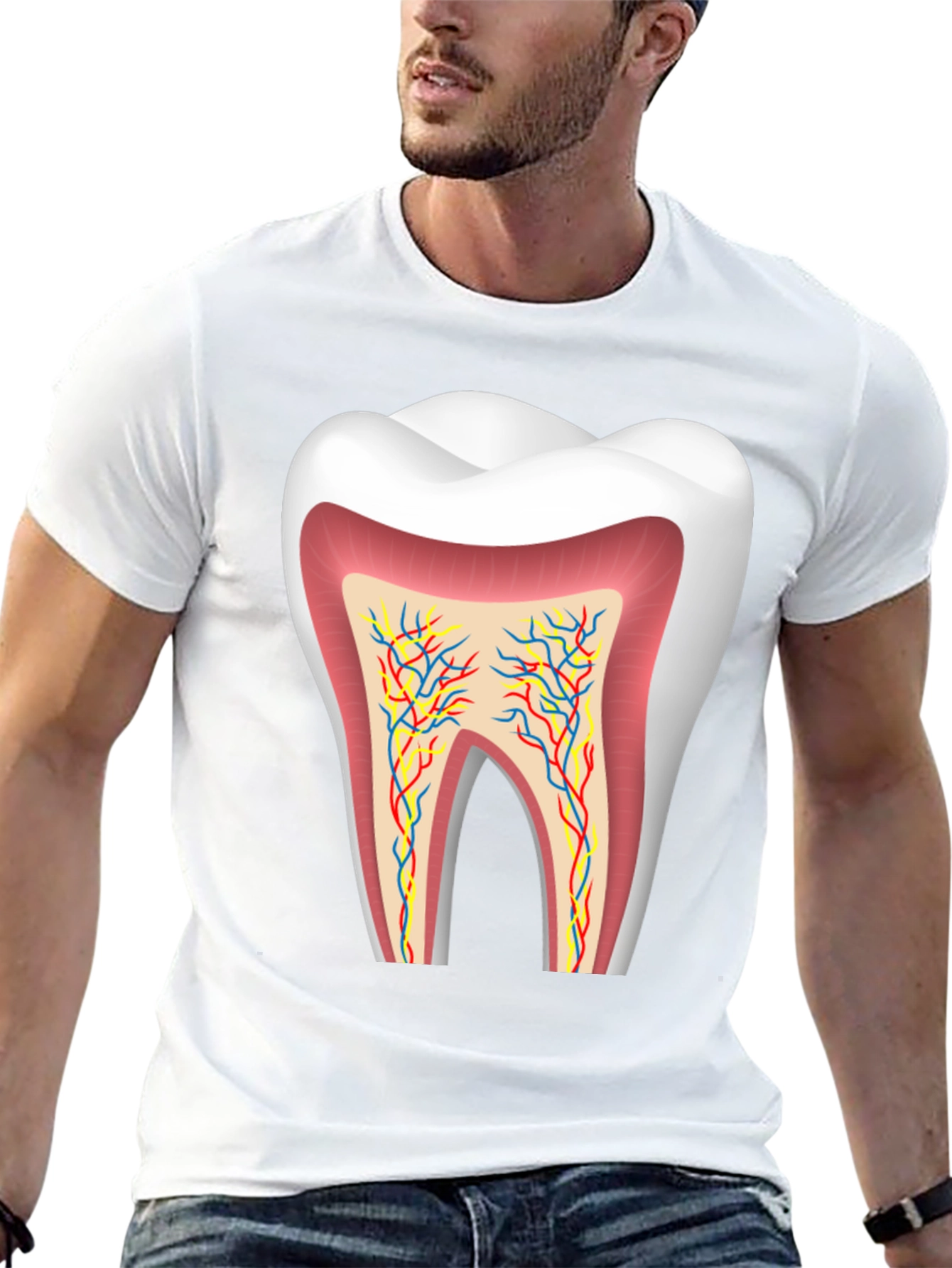 Anatomical Tooth Graphic Tee - Dentist Apparel