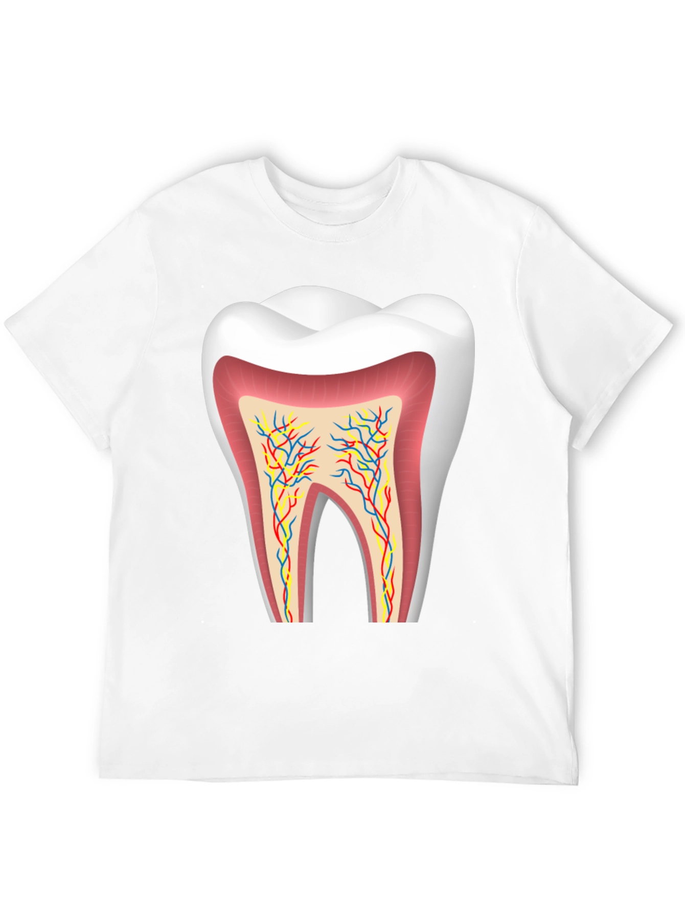 Anatomical Tooth Graphic Tee - Dentist Apparel