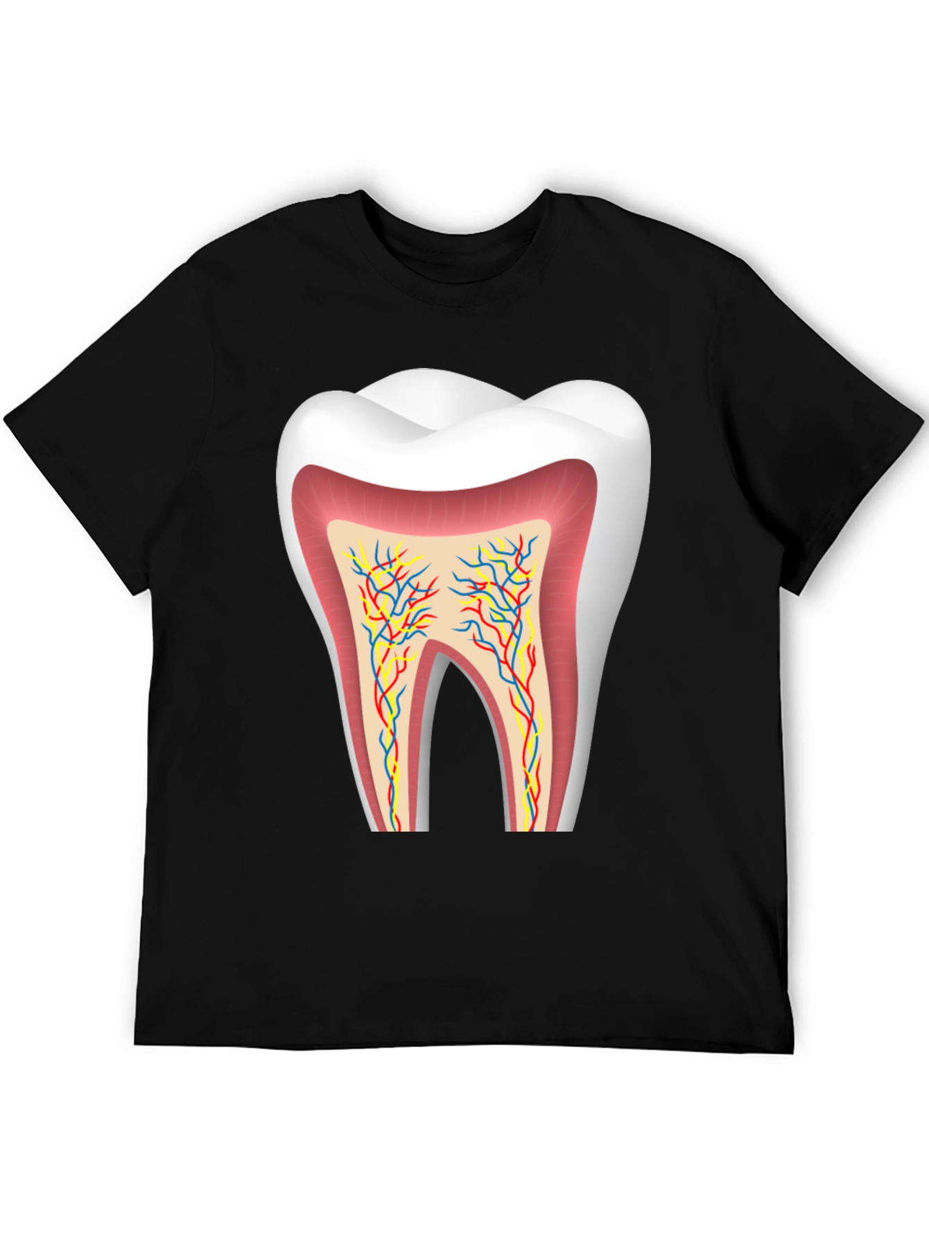 Anatomical Tooth Graphic Tee - Dentist Apparel