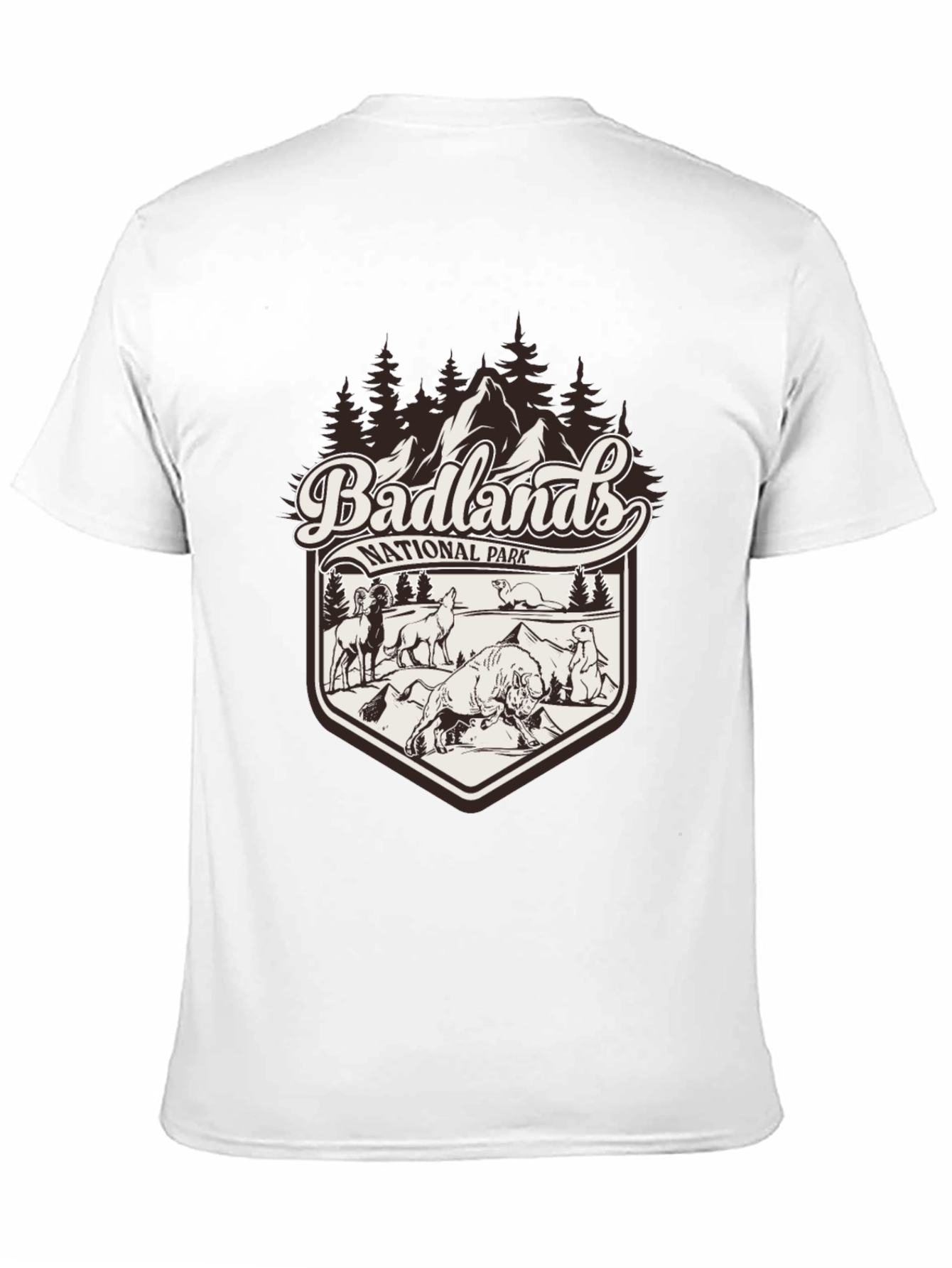 Badlands National Park Graphic Tee - Black