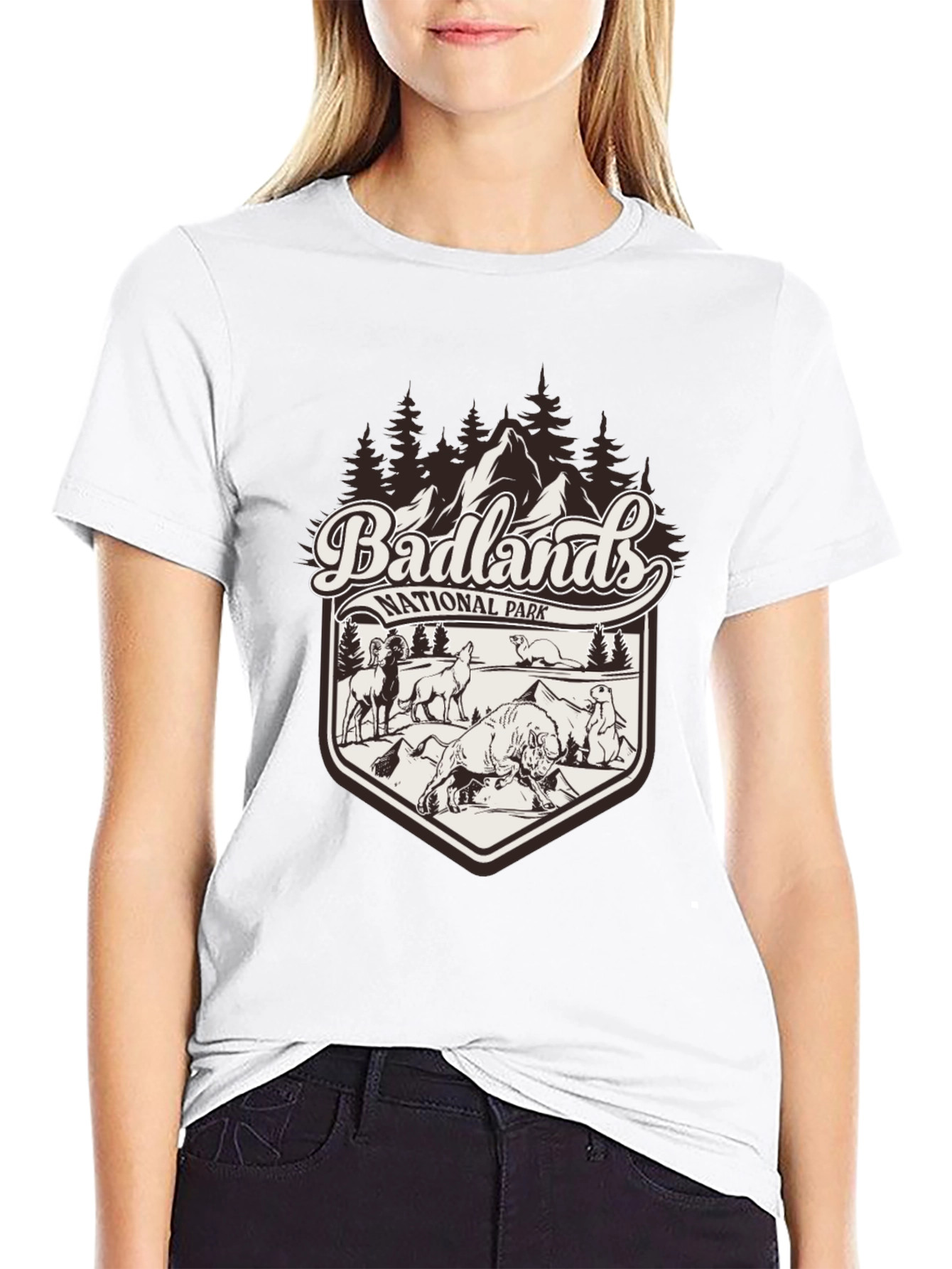 Badlands National Park Graphic Tee - Black