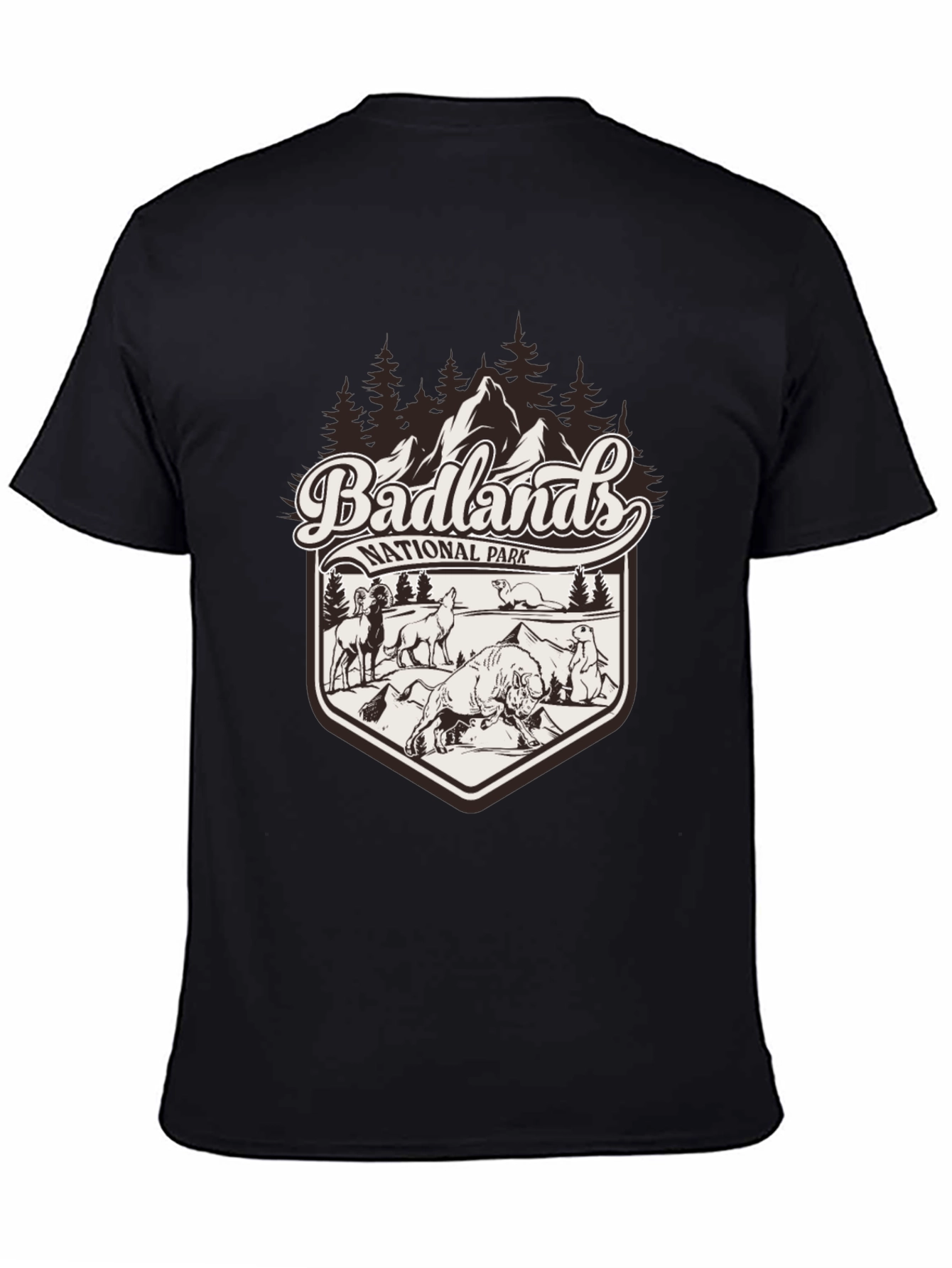 Badlands National Park Graphic Tee - Black