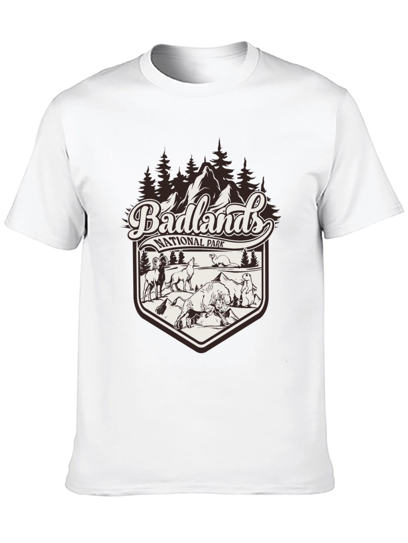 Badlands National Park Graphic Tee - Black
