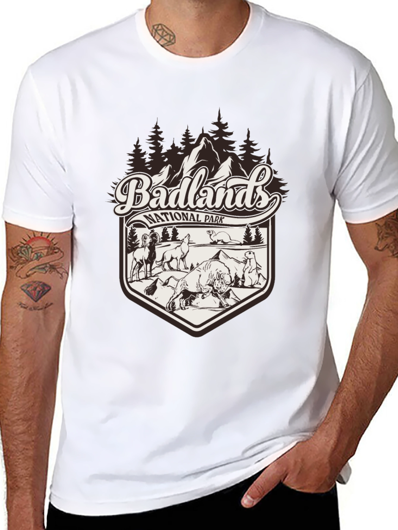 Badlands National Park Graphic Tee - Black