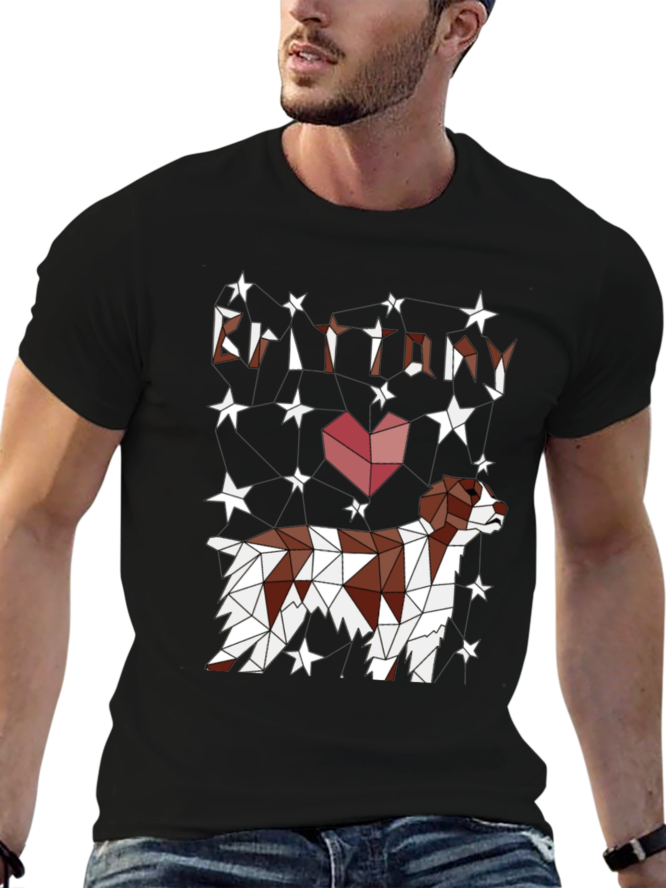 Brittany Dog Lover T-Shirt - Geometric Star Design