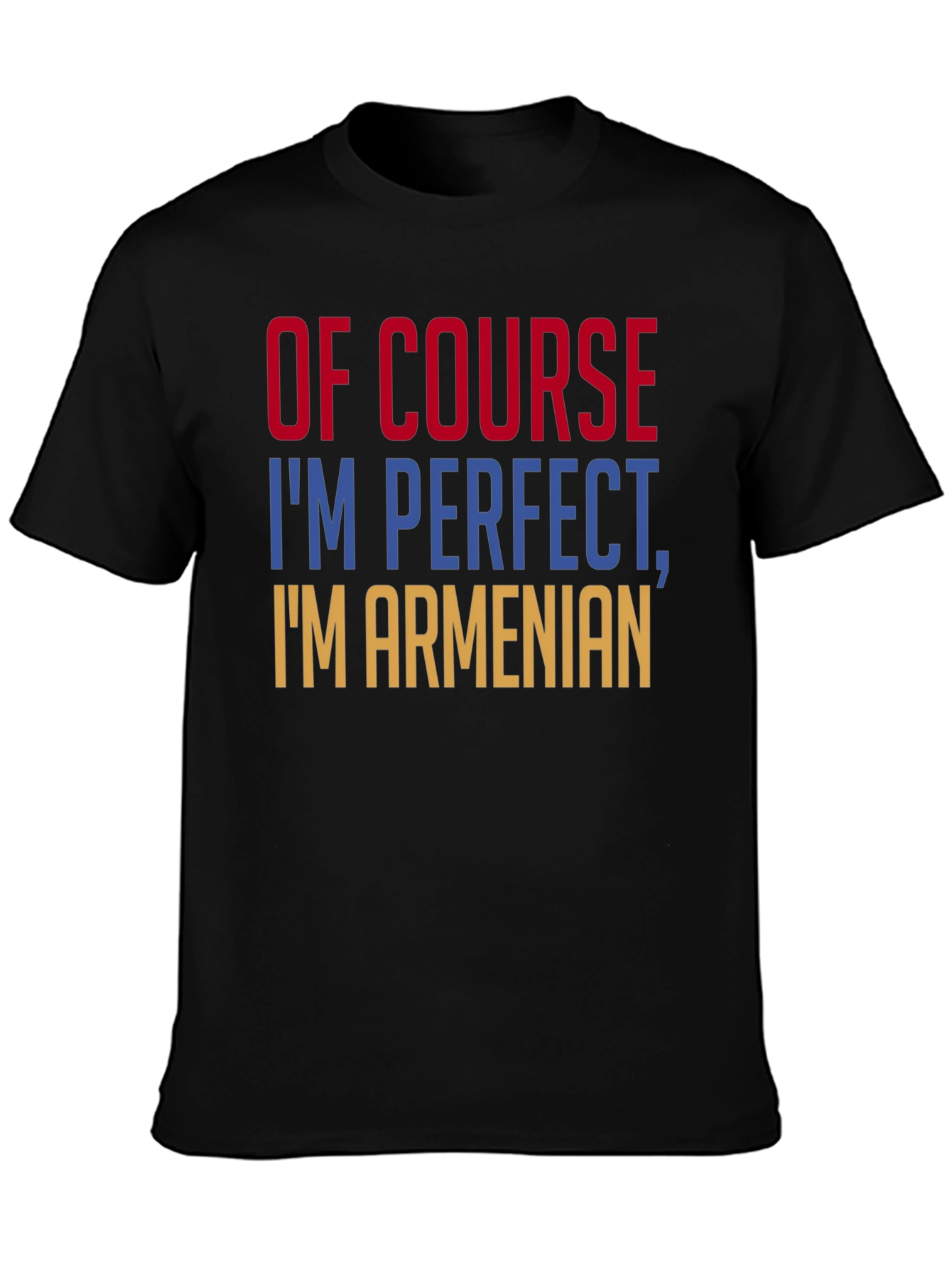 Of Course Im Perfect Im Armenian T-Shirt