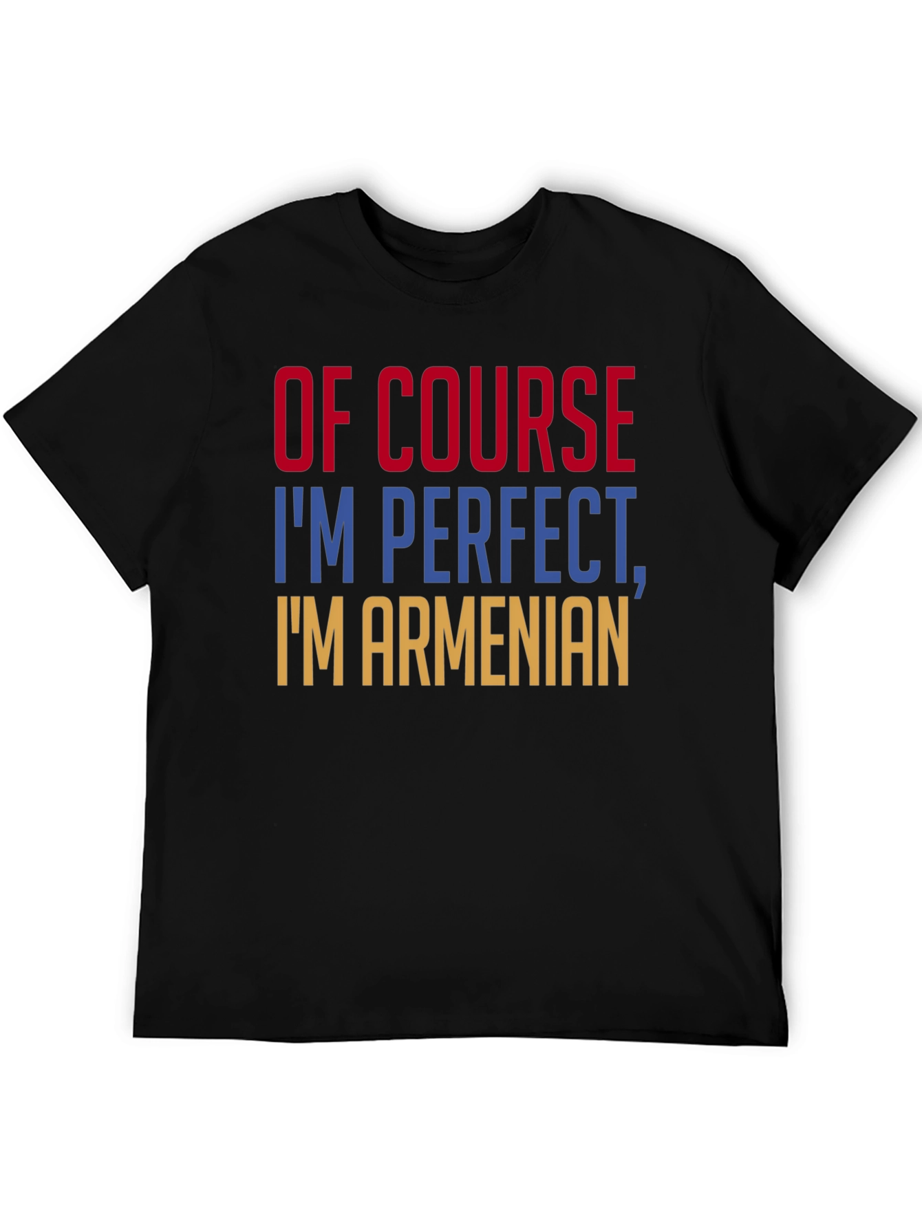 Of Course Im Perfect Im Armenian T-Shirt