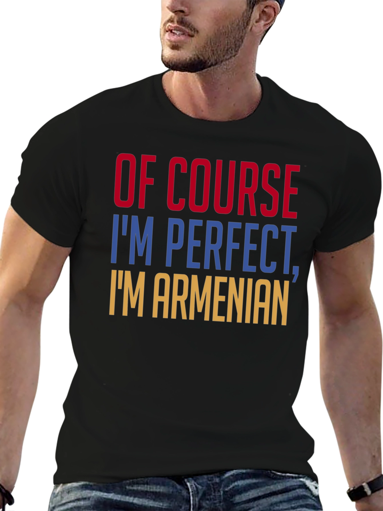 Of Course Im Perfect Im Armenian T-Shirt