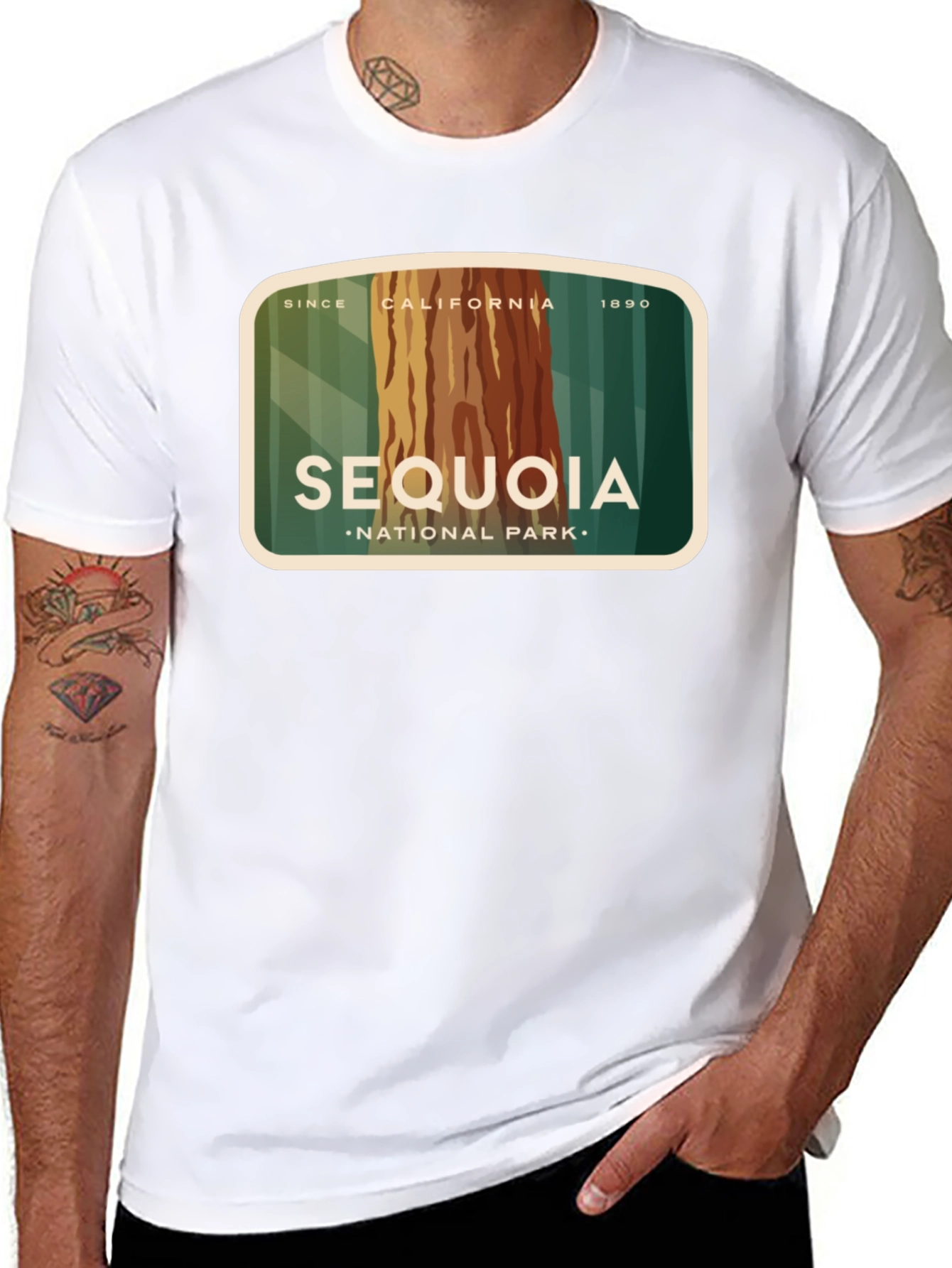 Sequoia National Park Graphic T-Shirt - Black